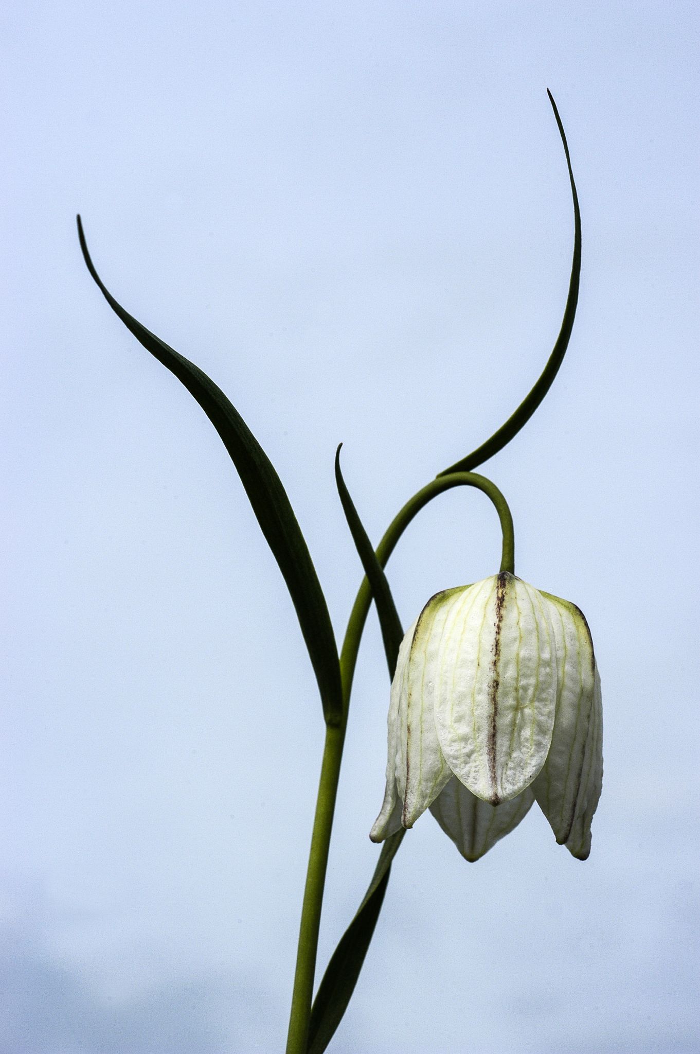 502 030504 J 0001