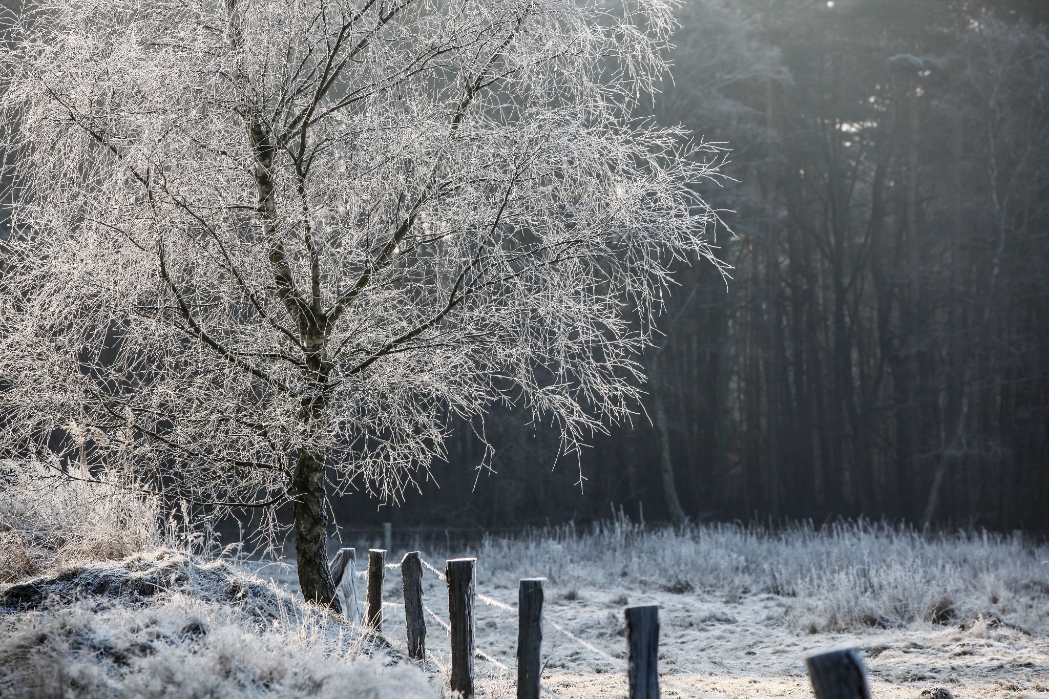 519 081231 1305 J 0160