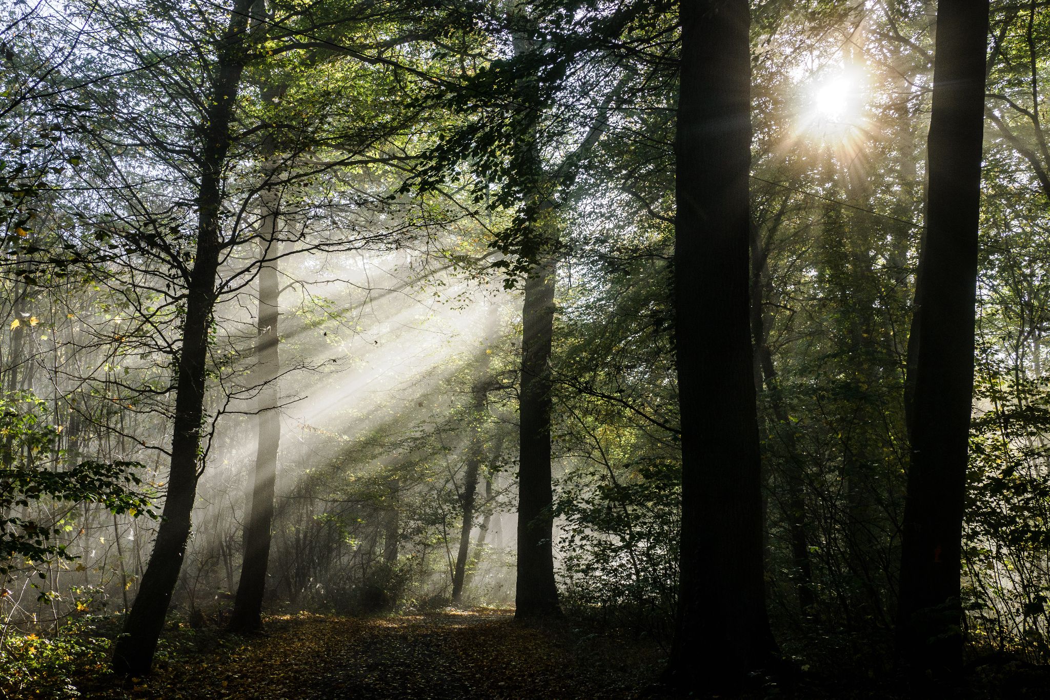 525 221027 1011 J  JRD1445