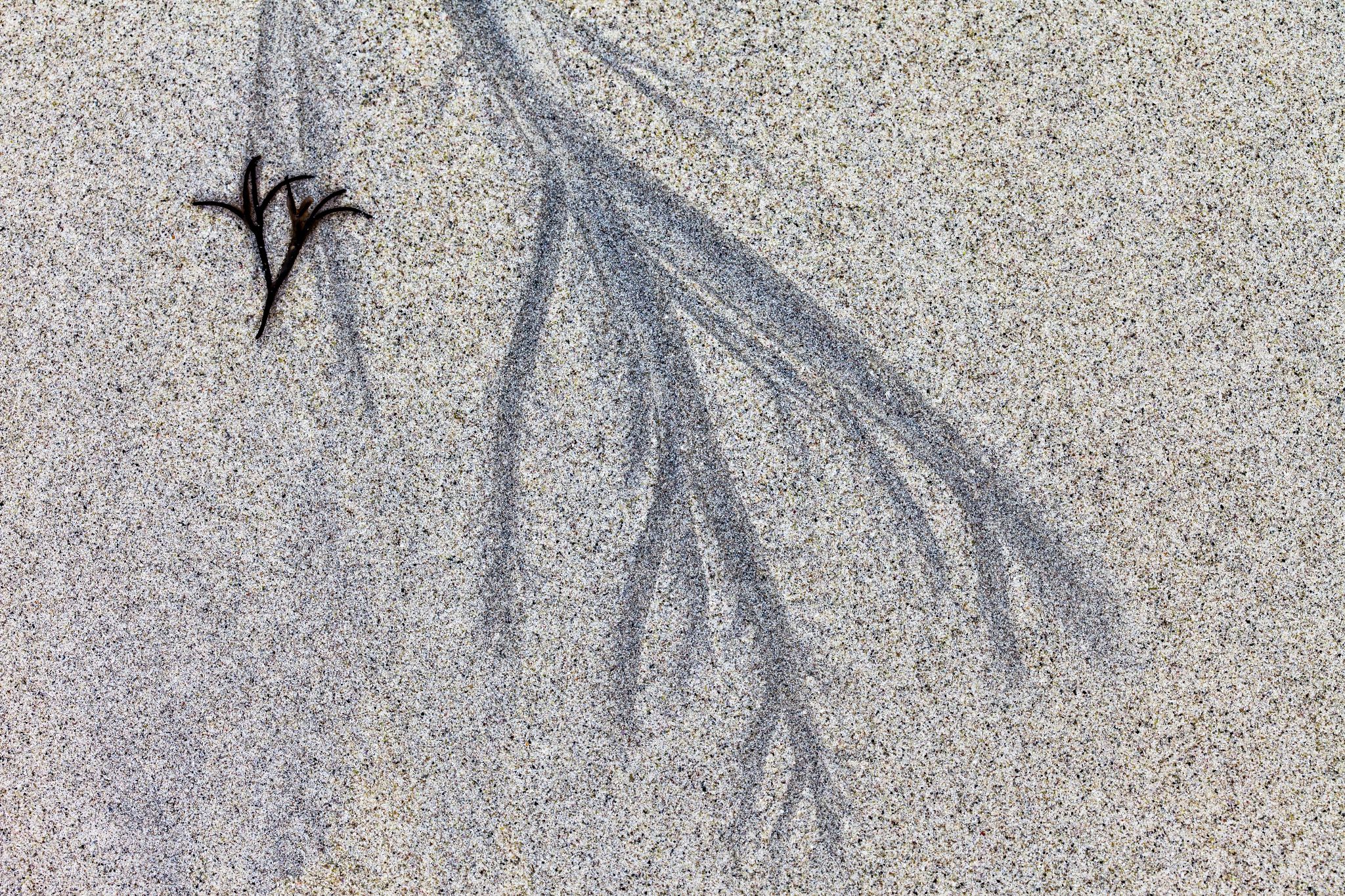 Am Atlantikstrand, Norwegen