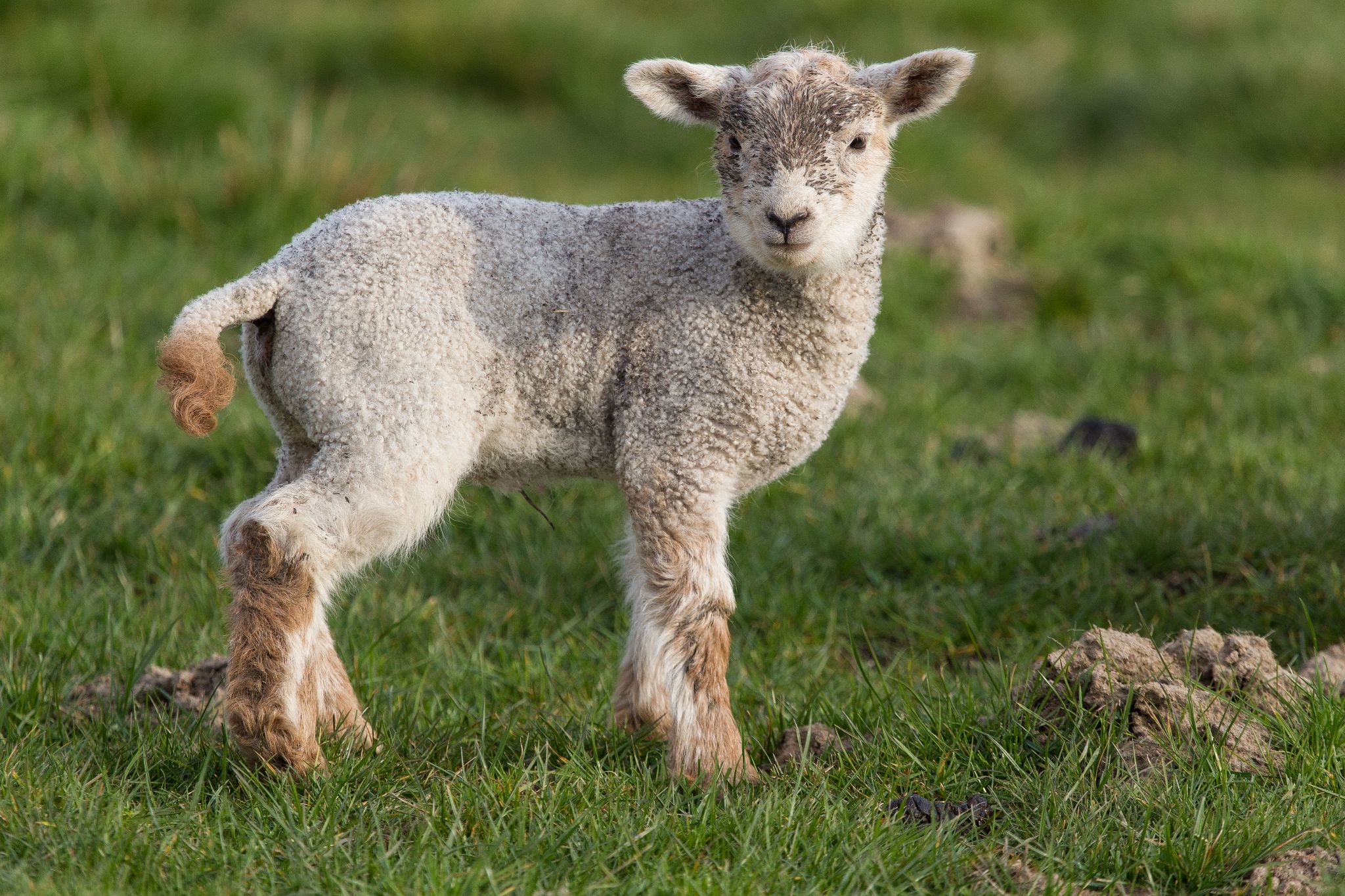 An der Nordseeküste