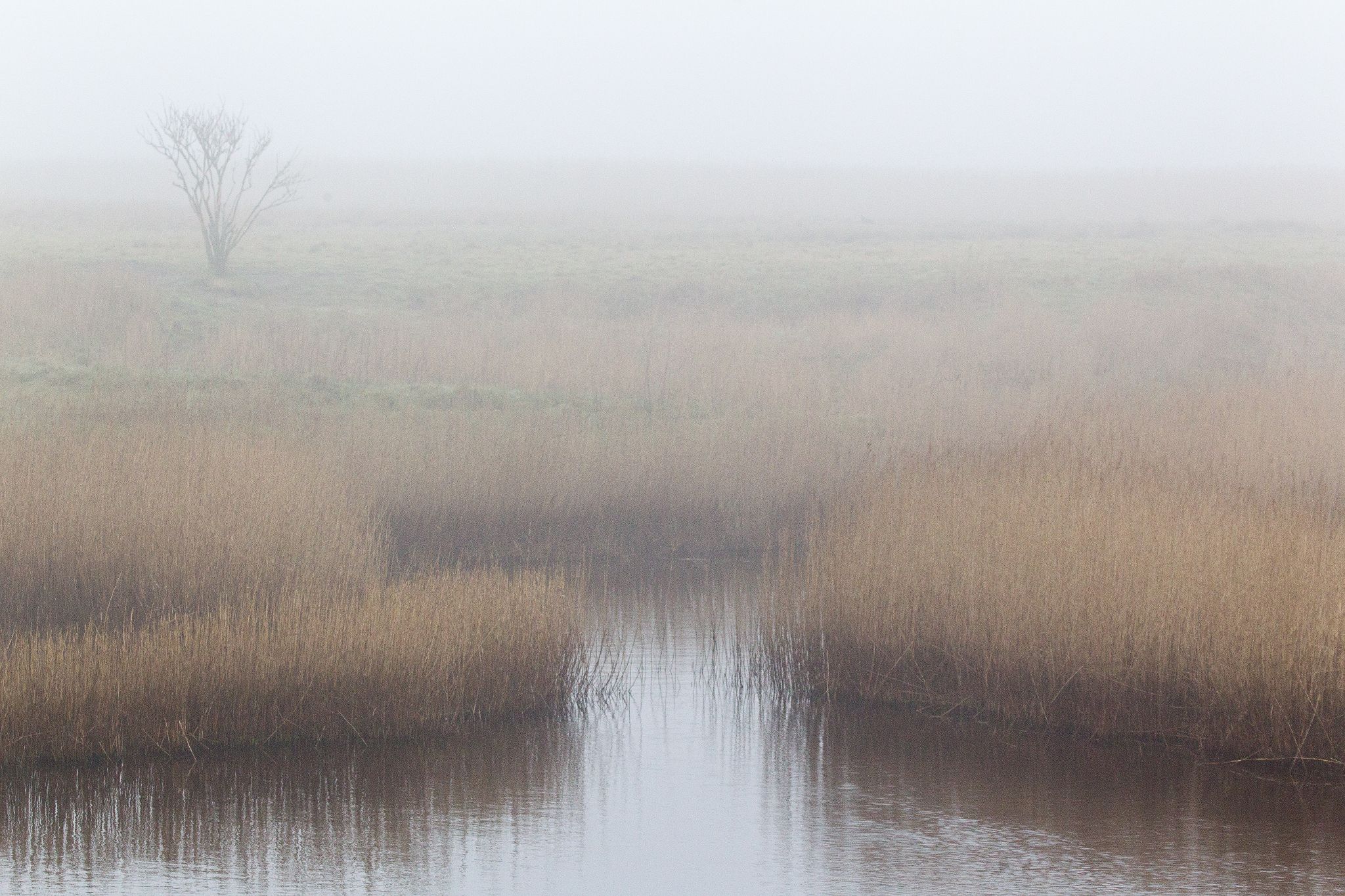 Insel Mandø, Dänemark