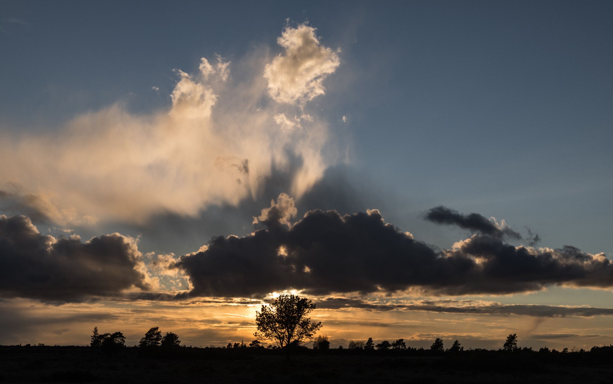 Alvar, trockenes Land auf Öland, Schweden