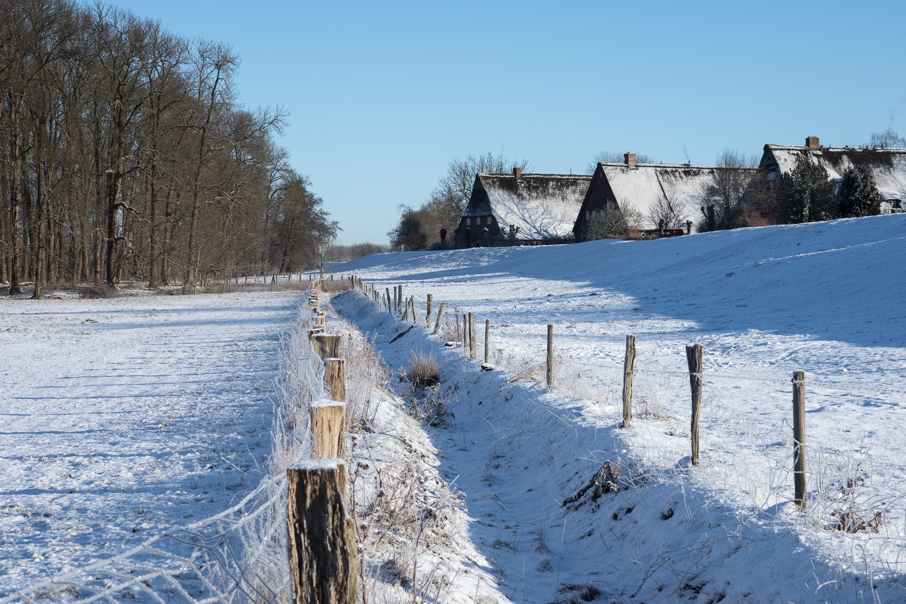 2021 Winter in Hetlingen