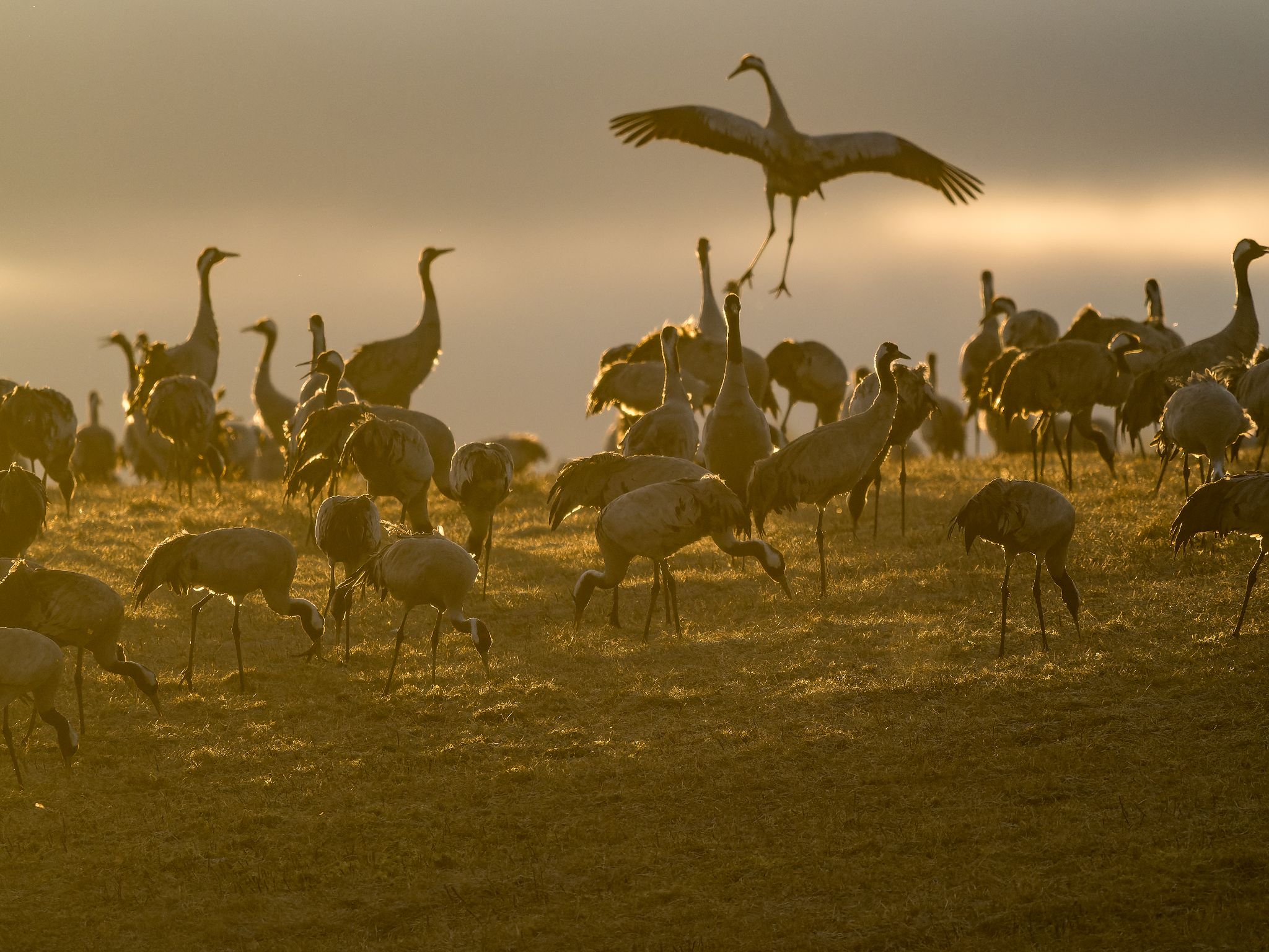 109 250322 0636 J  1JR0154 DxO DeepPRIME