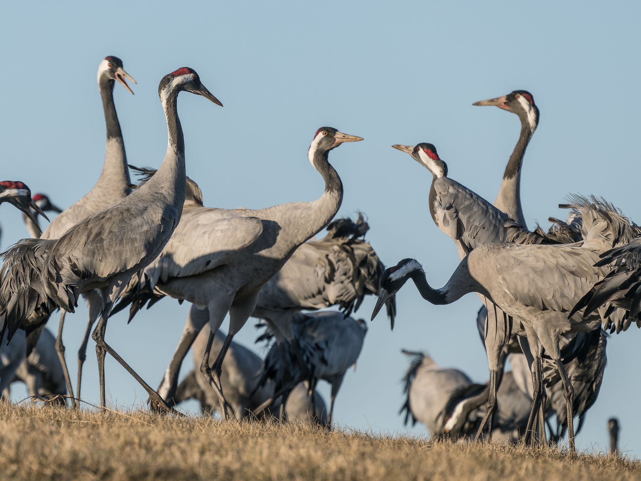 500 250321 1703 J  1JR0173 DxO DeepPRIME