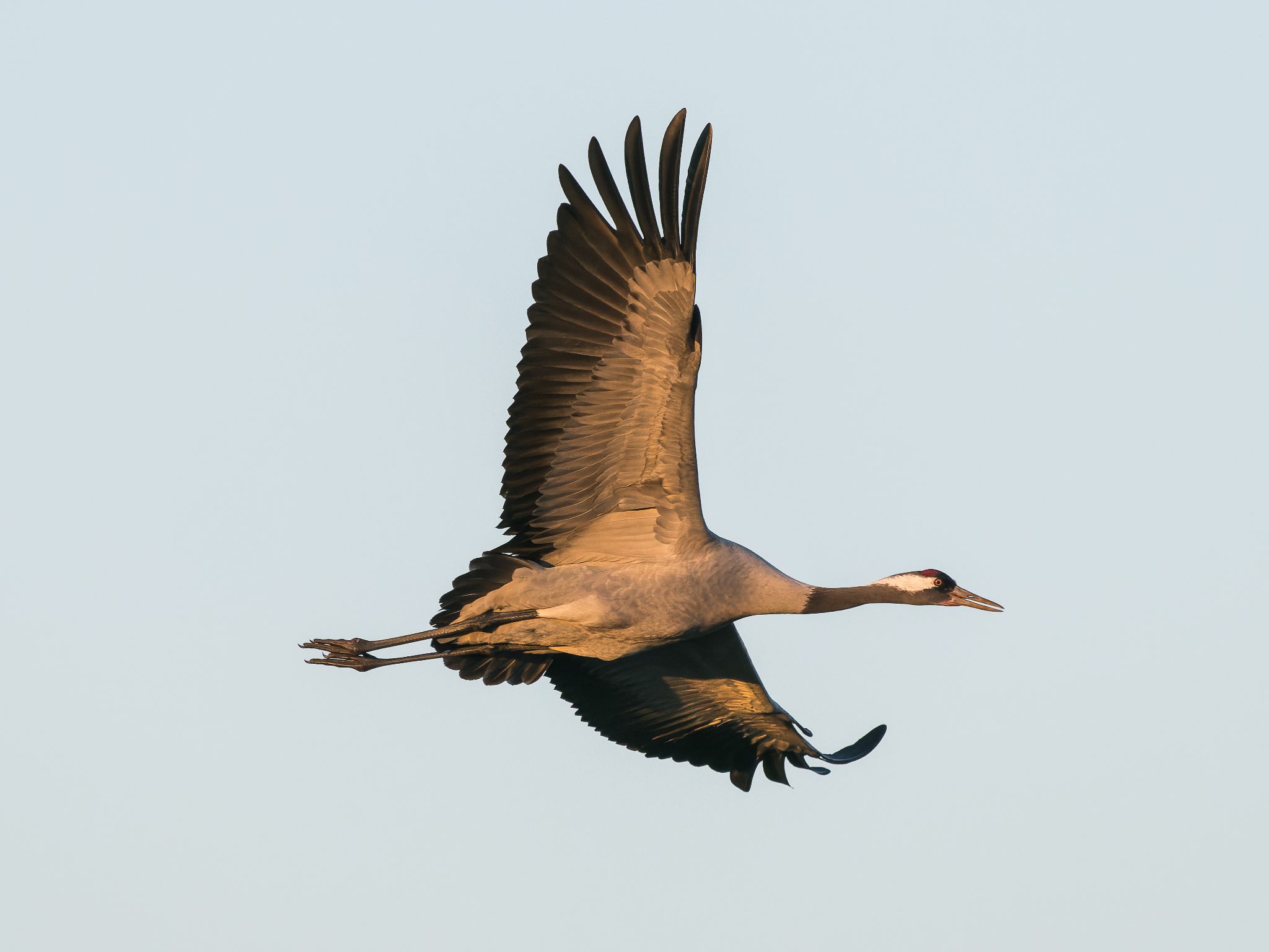 603 250321 1806 J  1JR3983 DxO DeepPRIME