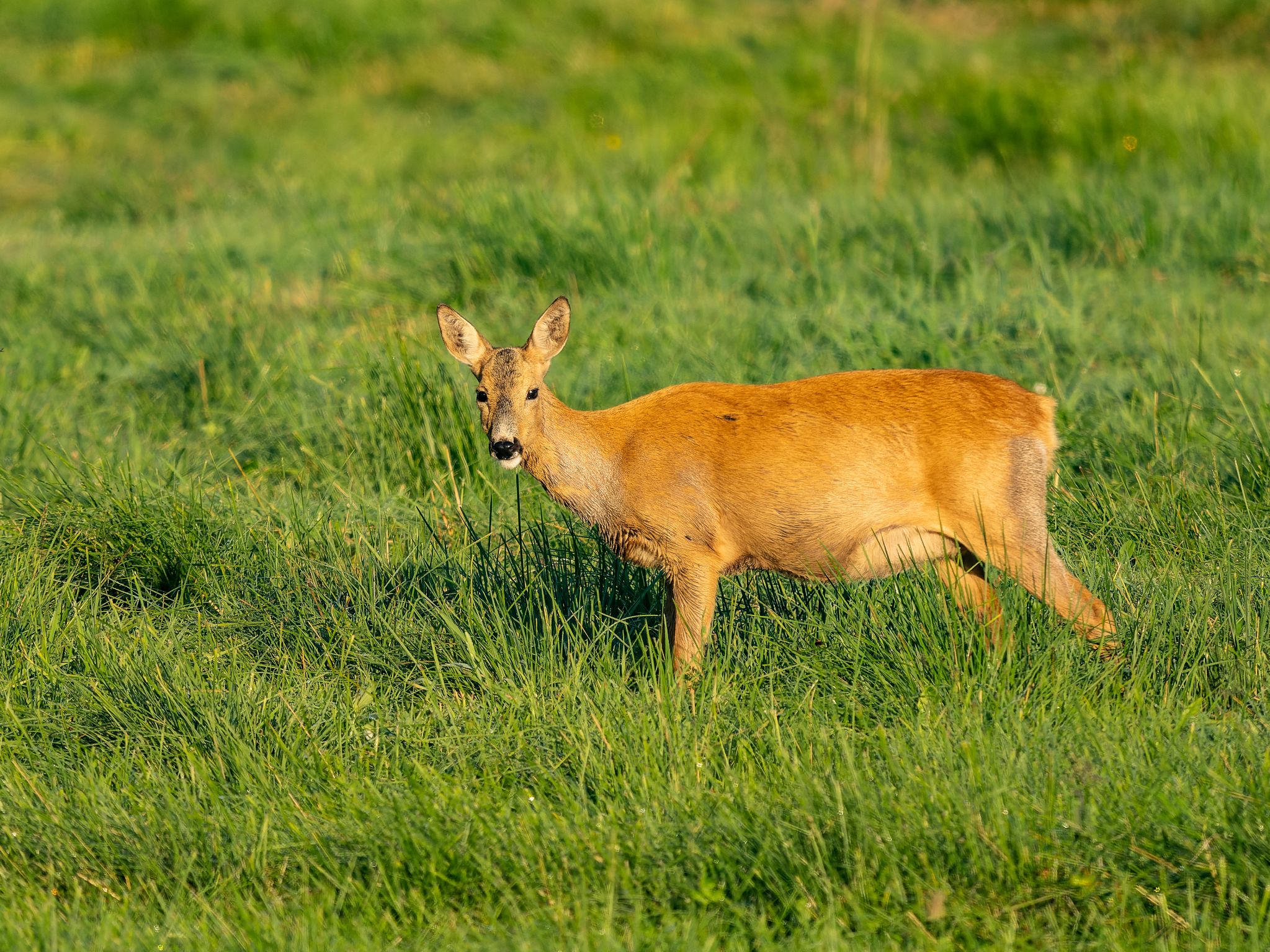 250723 0539 J 250723 0539 J  1JR0713 DxO DeepPRIME 2