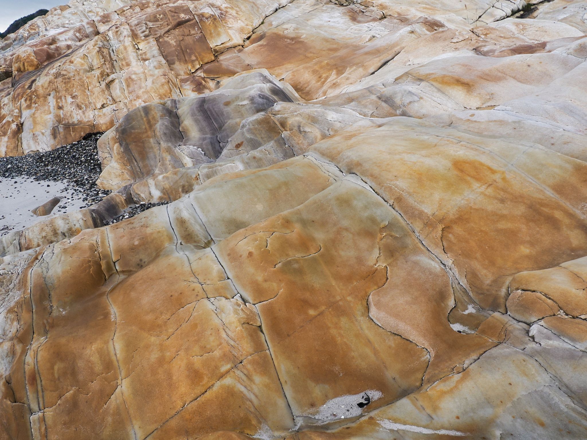 250727 1003 H  2HR0212