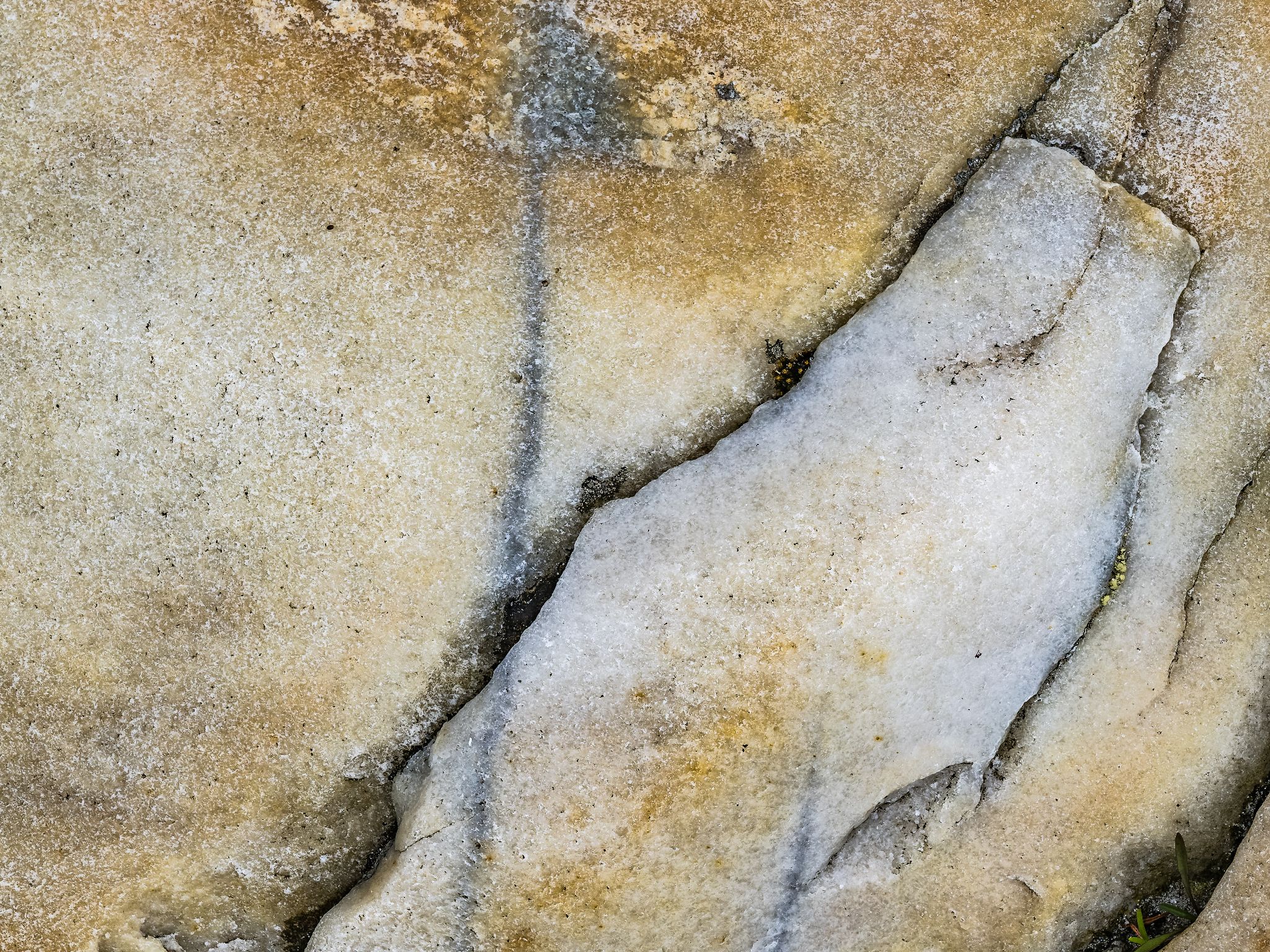 250727 1005 J 250727 1005 J  2JR0112 DxO DeepPRIME 2