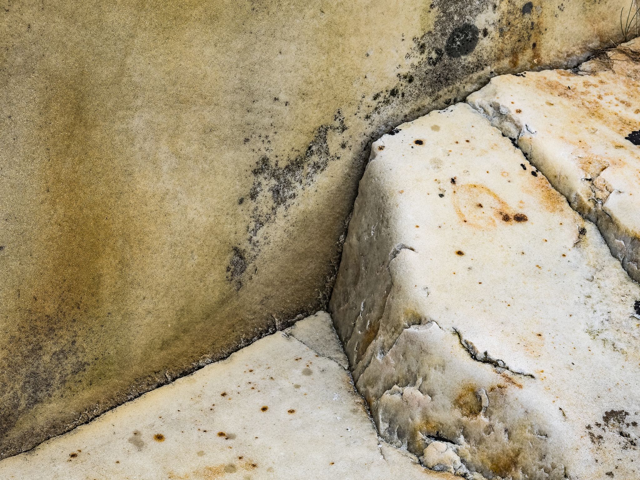 250727 1007 J 250727 1007 J  2JR0126 DxO DeepPRIME 2