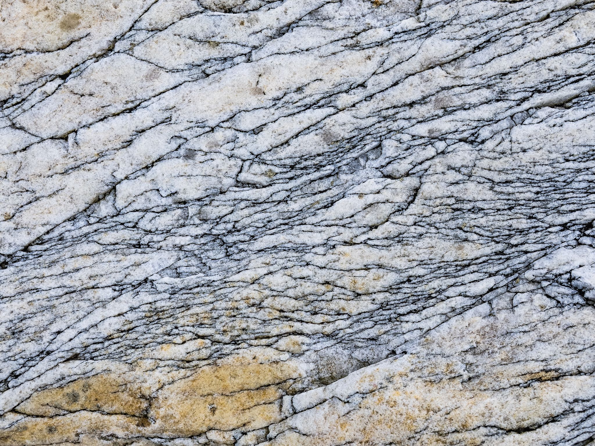 250727 1008 J 250727 1008 J  2JR0131 DxO DeepPRIME 2