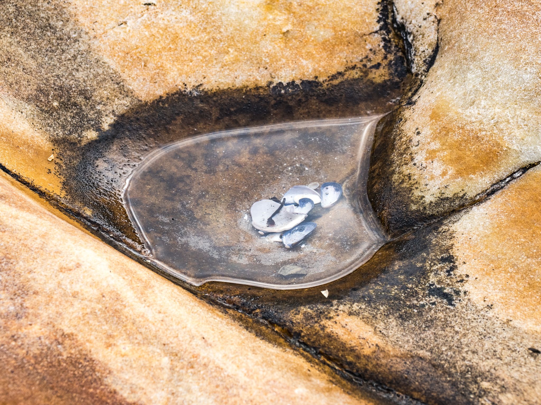 250727 1020 J  2JR0177