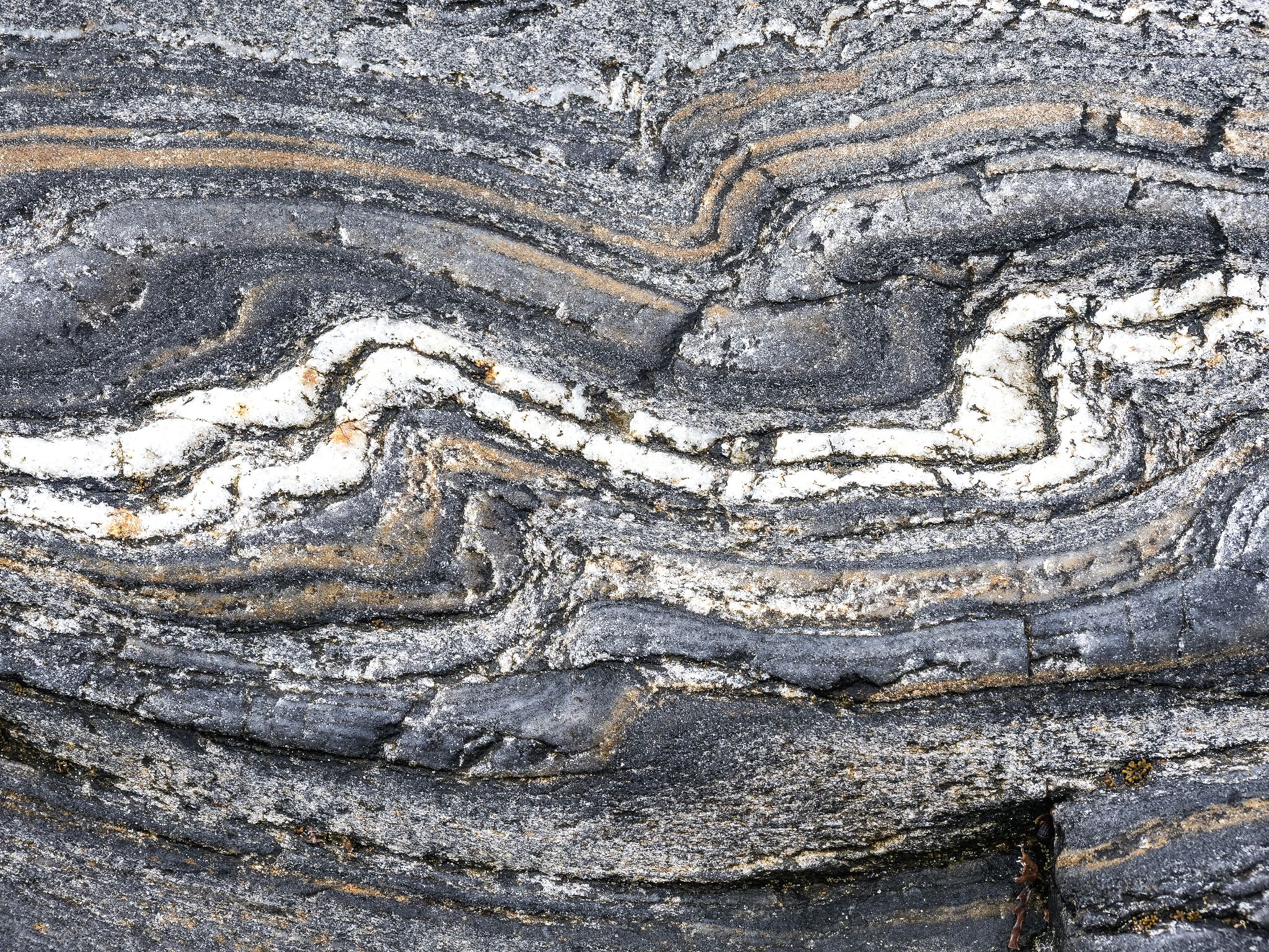 250727 1022 J 250727 1022 J  2JR0197 DxO DeepPRIME 2