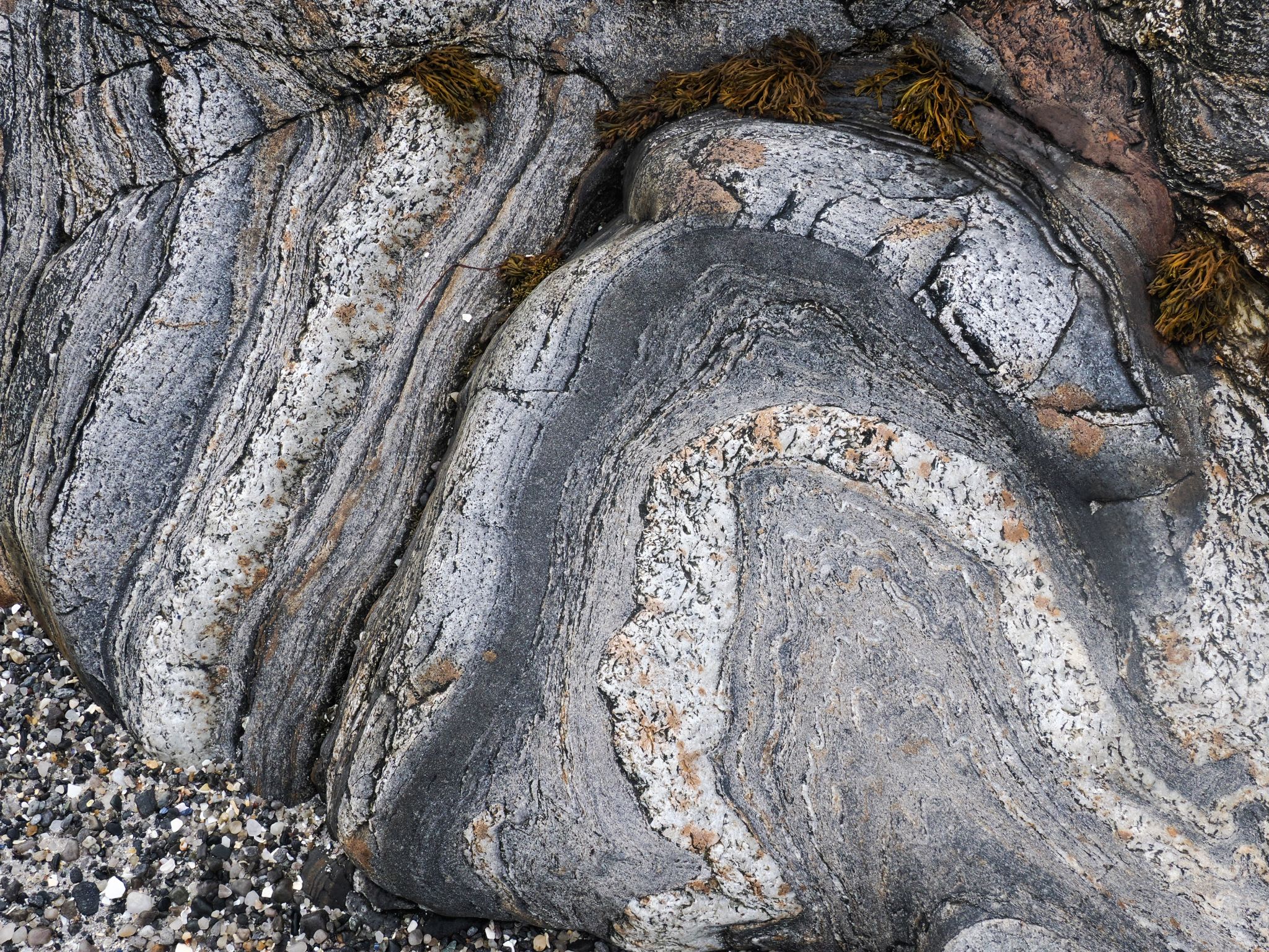 250727 1024 H  2HR0740