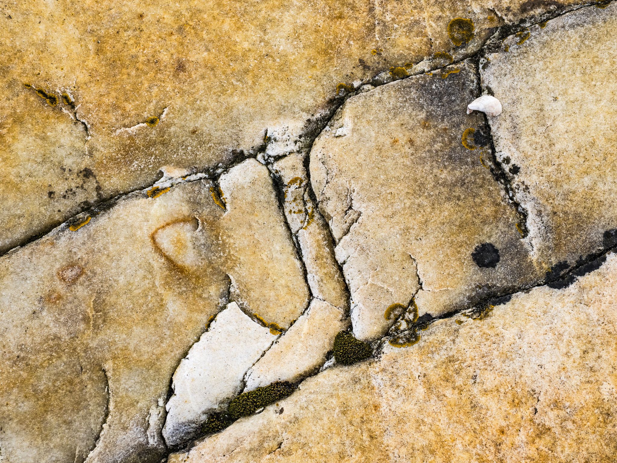 250727 1030 J  2JR0249