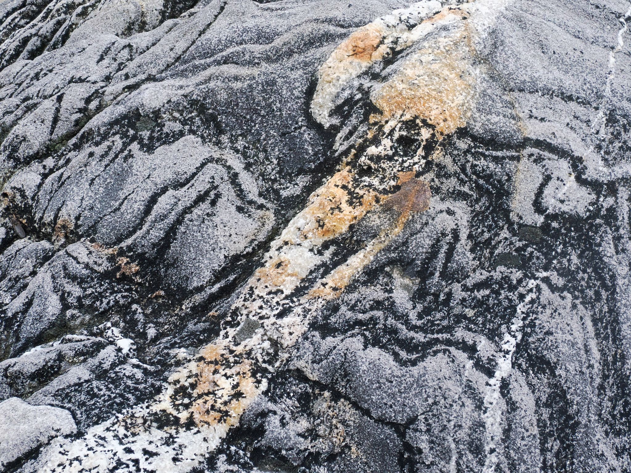 250727 1032 H  2HR0964