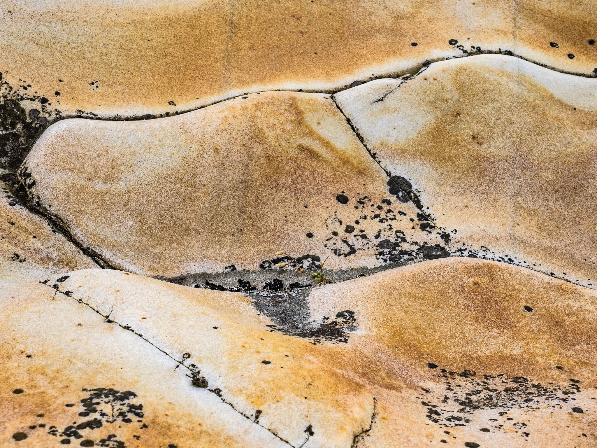 250727 1033 J  2JR0260