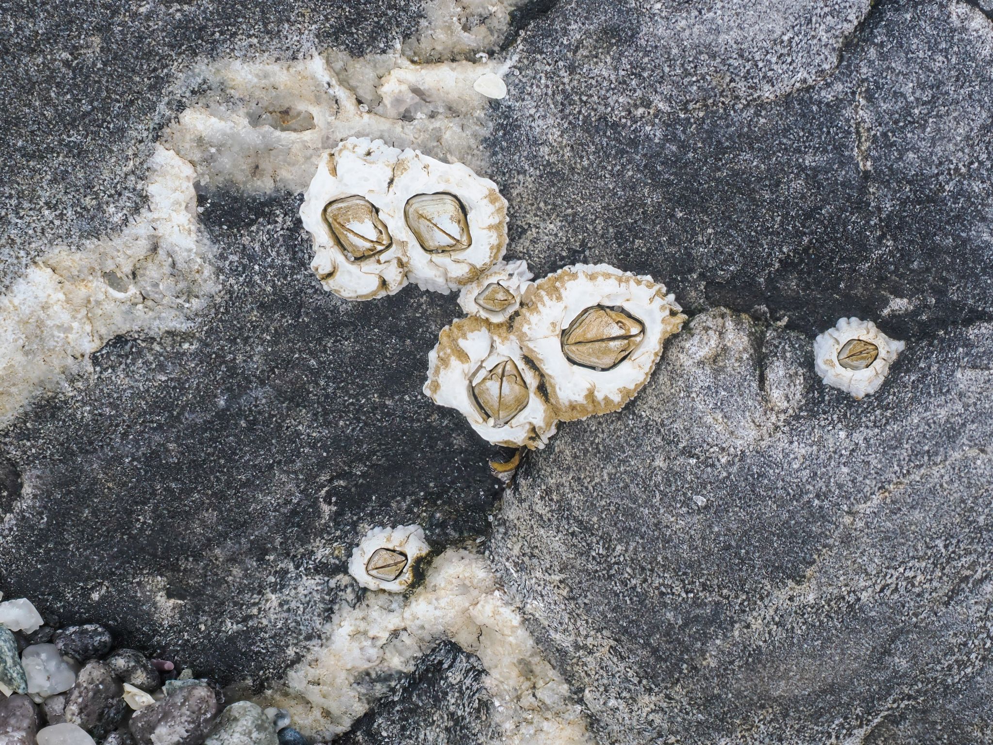 250727 1042 H  2HR1073