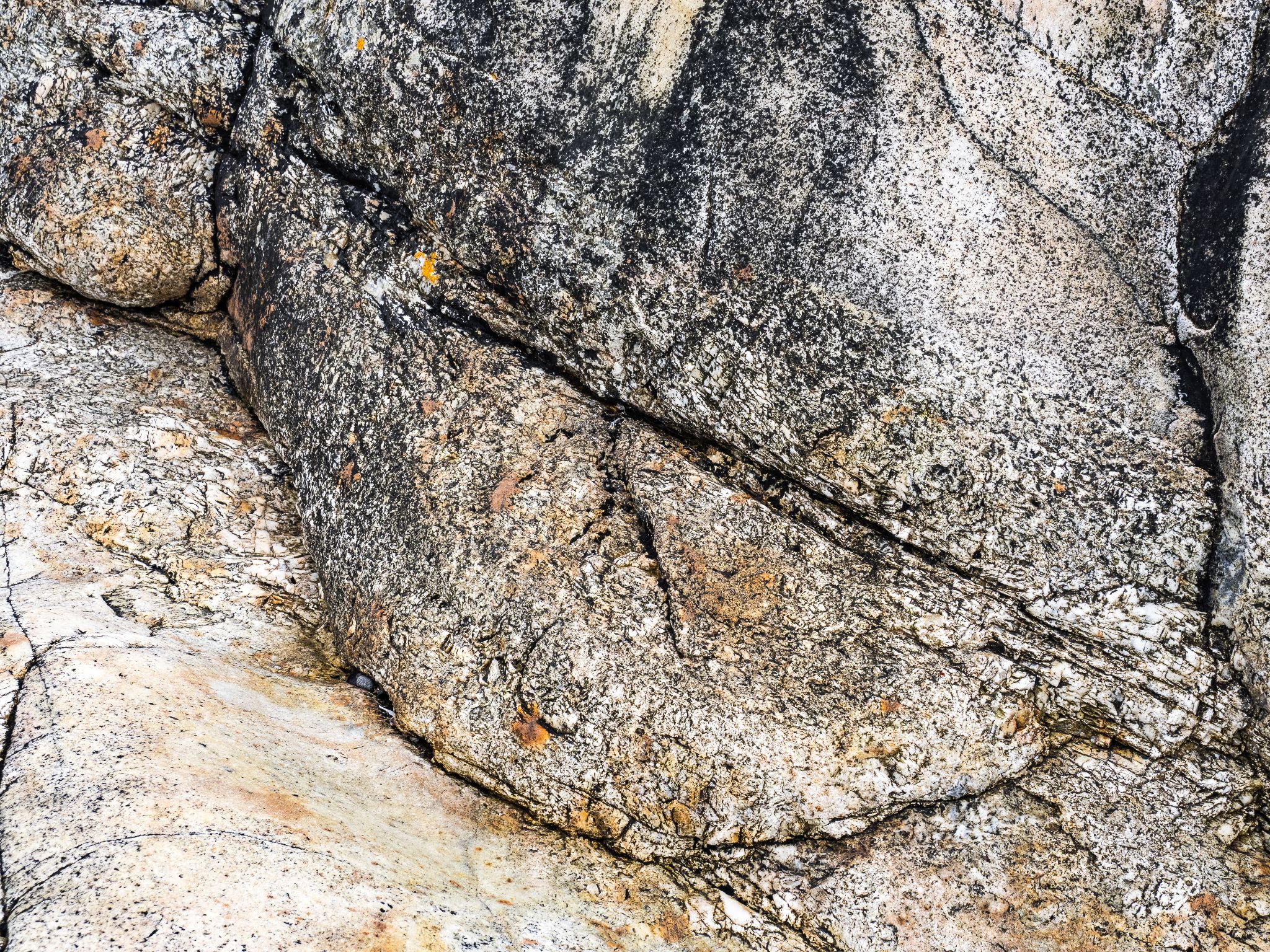 250727 1045 J  2JR0319