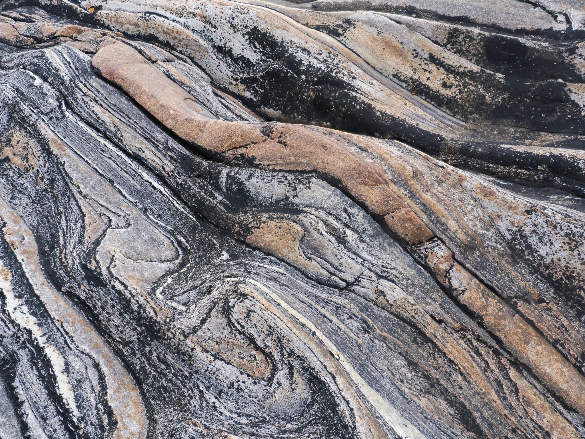 250727 1048 H  2HR1249