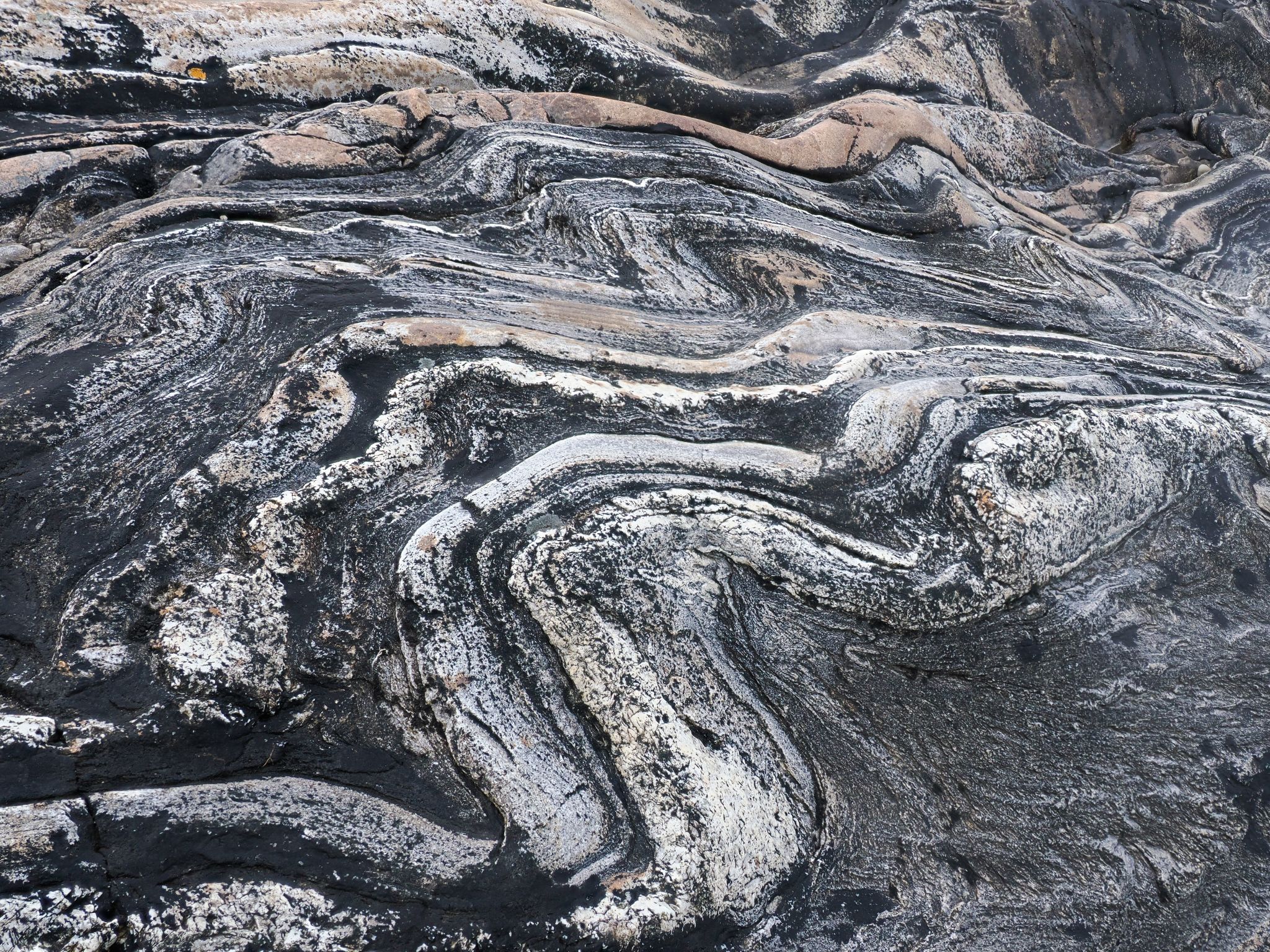 250727 1052 H  2HR1329