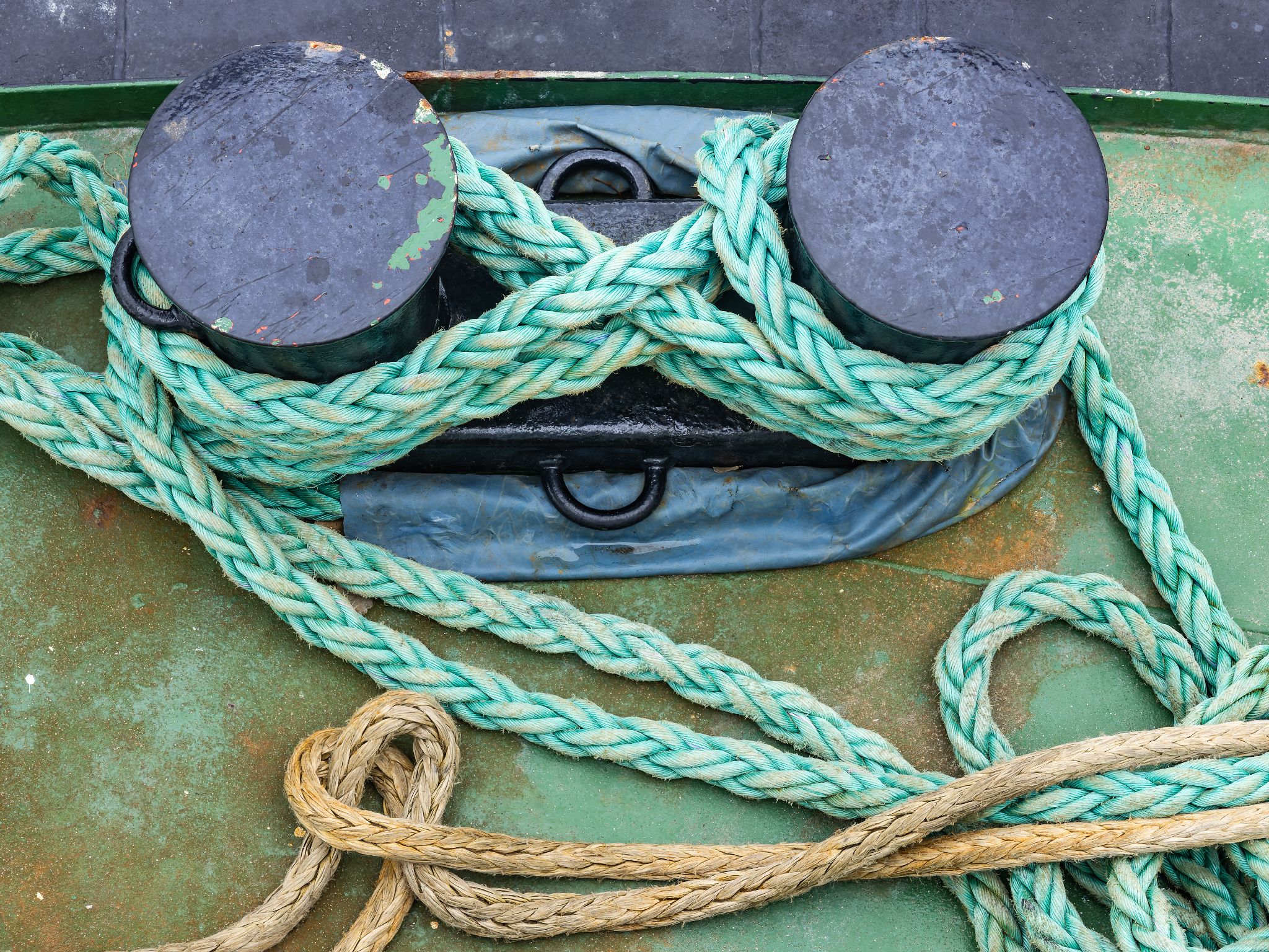 250728 1549 J 250728 1549 J  2JR0018 DxO DeepPRIME 2