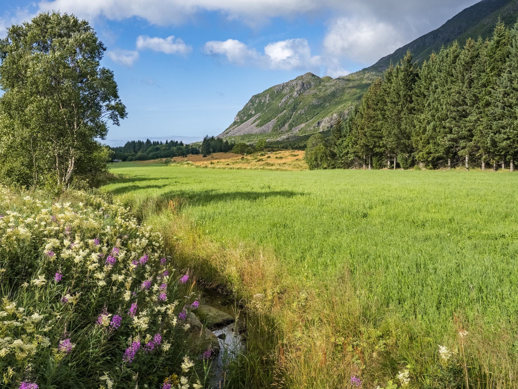 250729 0944 J  2JR0287 HDR