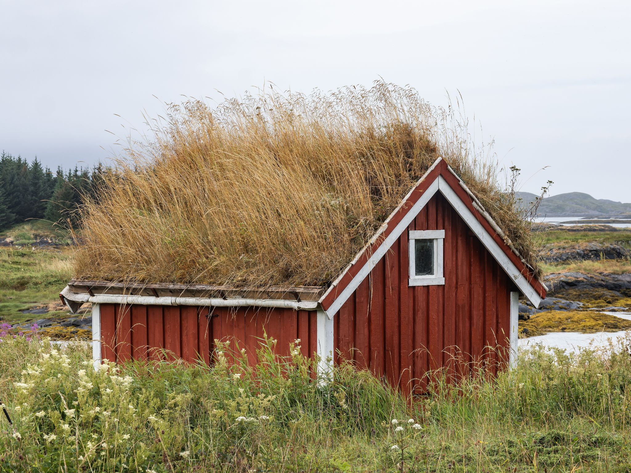 250730 0924 J 250730 0924 J  2JR0025 DxO DeepPRIME 2