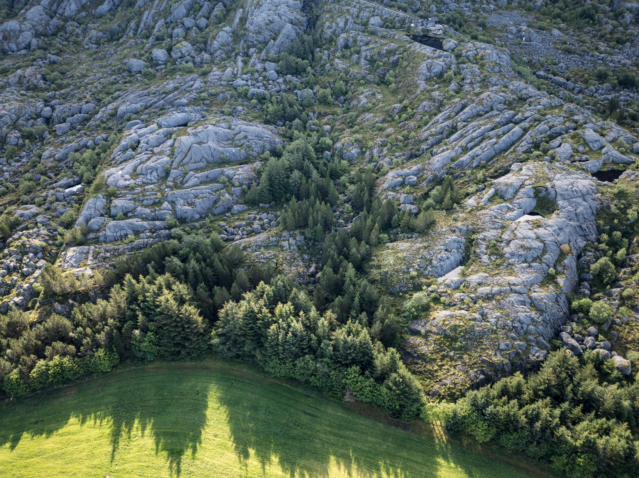 250731 0931 J 250731 0931 J DJI 0007 DxO DeepPRIME 2