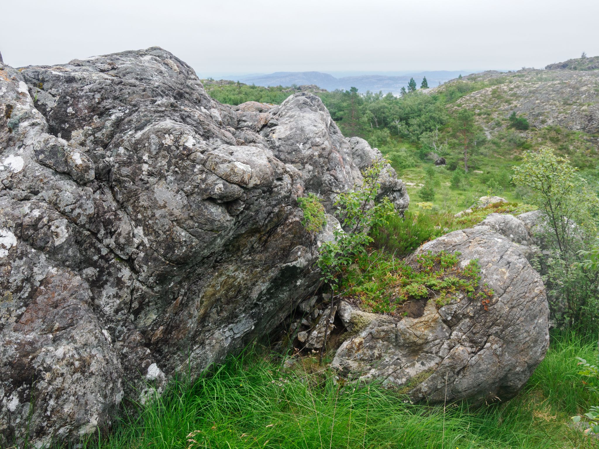 250802 1257 H  2HR0377