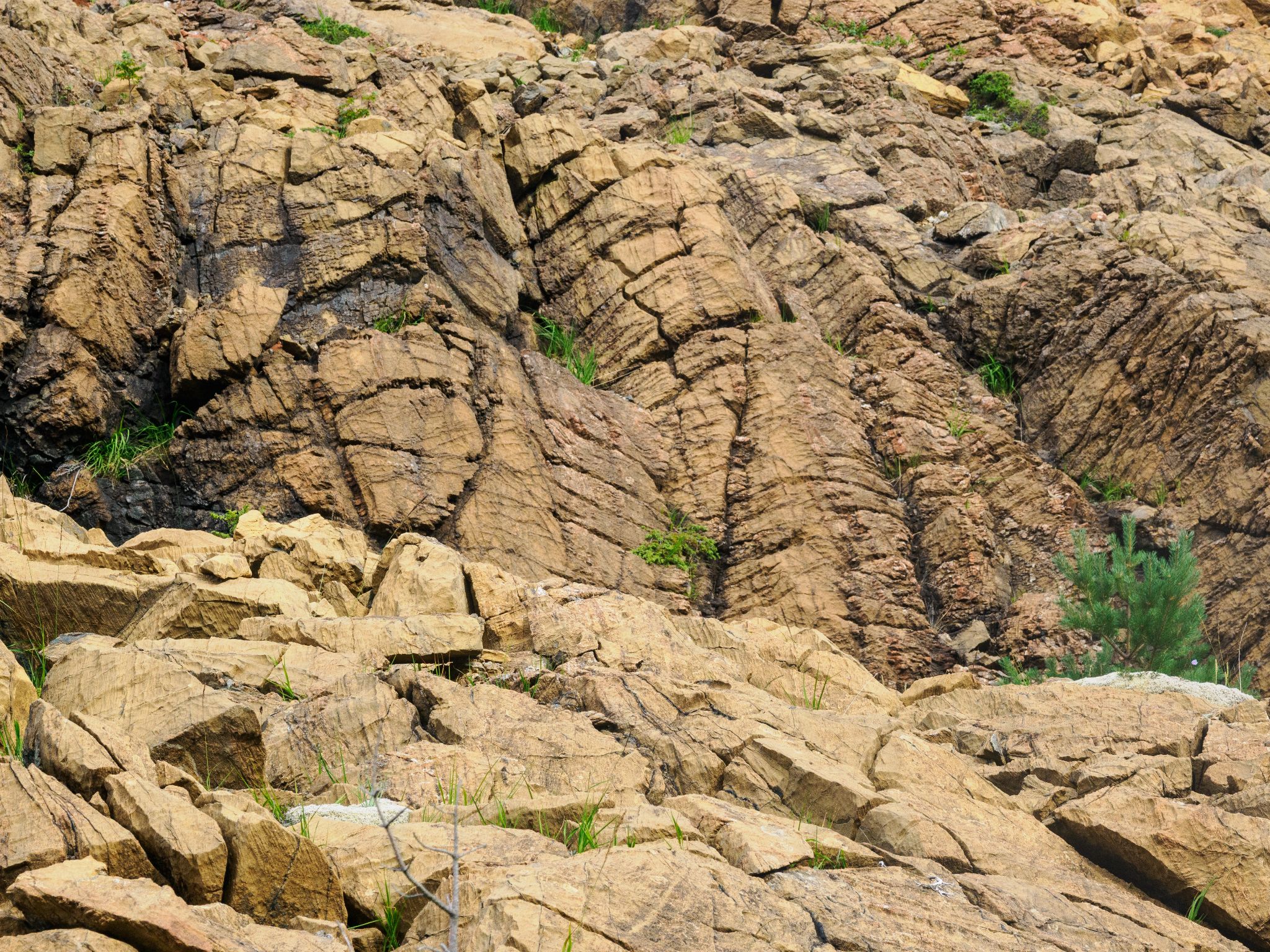 250803 1046 H  2HR0057