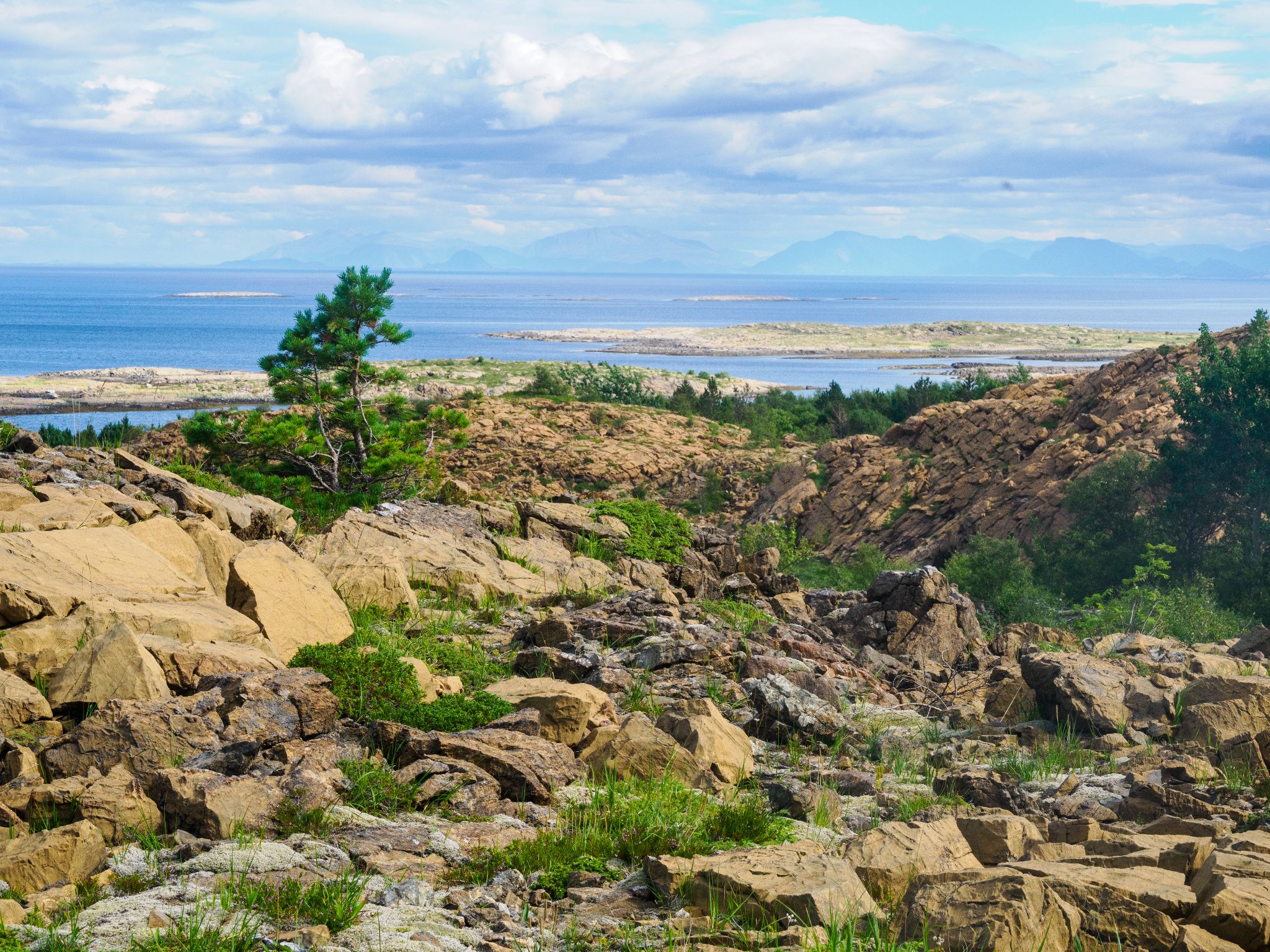 250803 1102 H  2HR0084