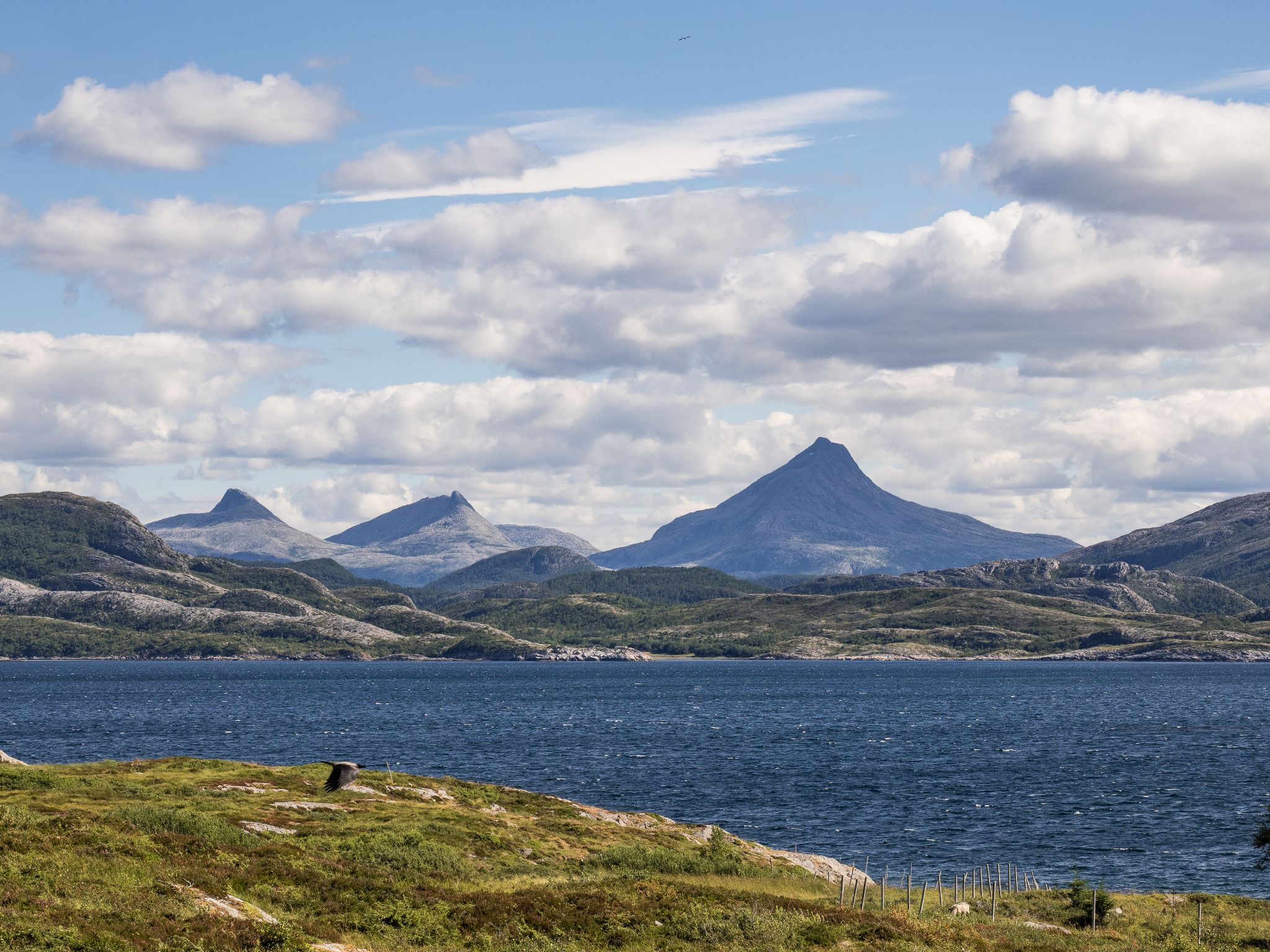 250803 1317 J  2JR0167