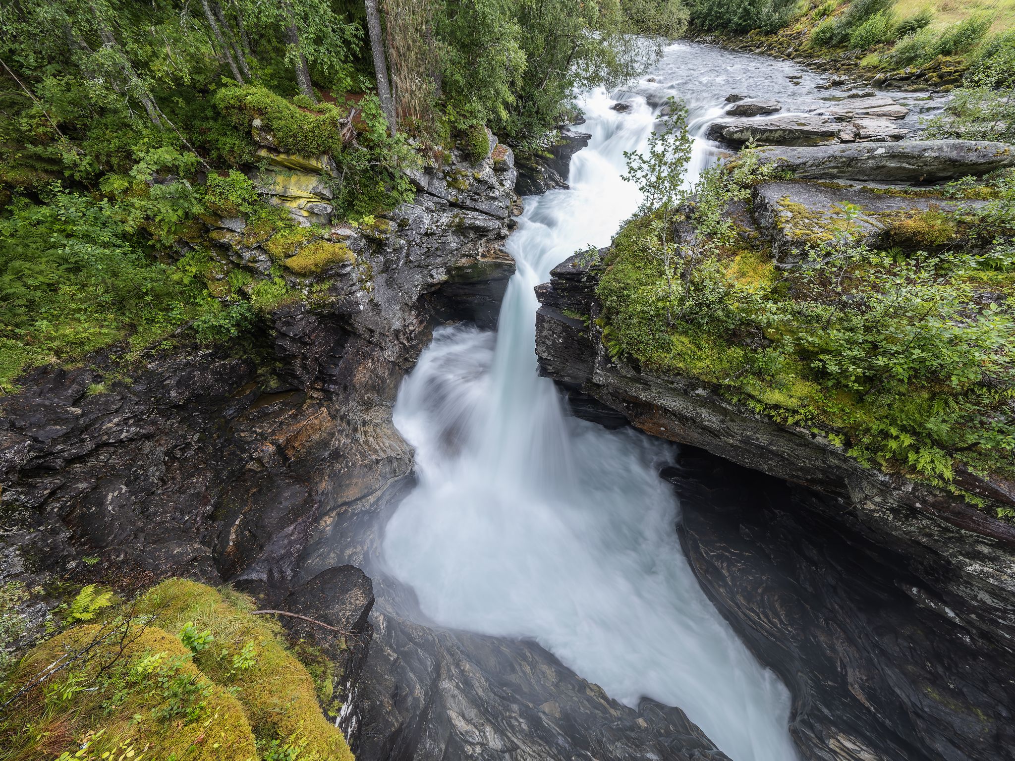 250813 1006 J 250813 1006 J  2JR0112 DxO DeepPRIME 2