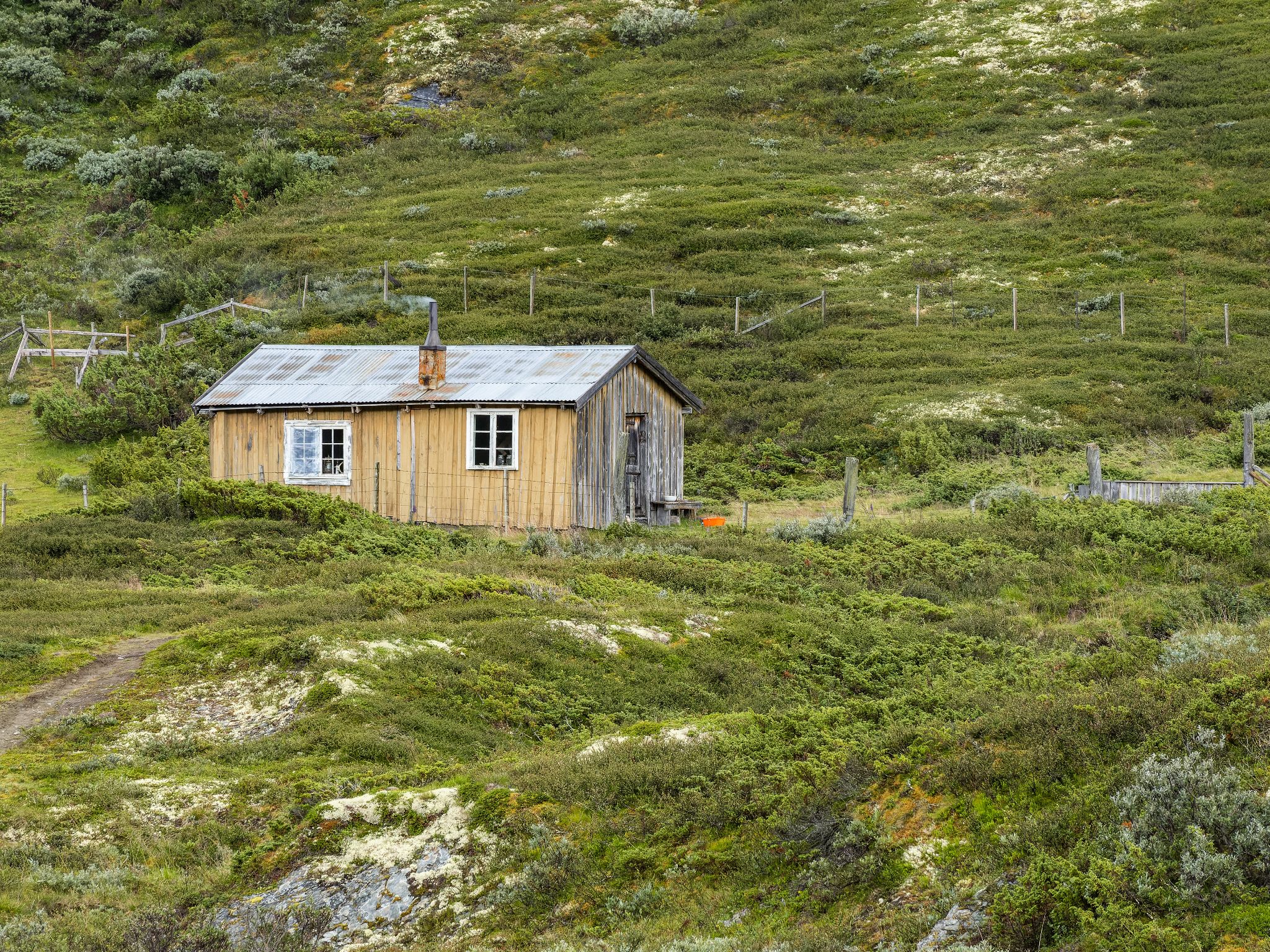 250815 1154 J 250815 1154 J  2JR0016 DxO DeepPRIME 2