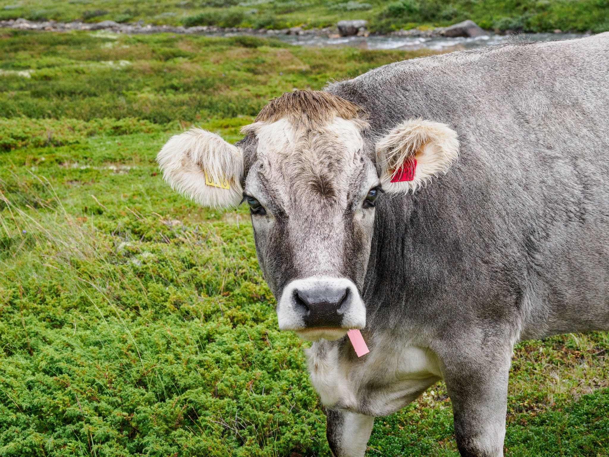 250815 1156 H  2HR0033