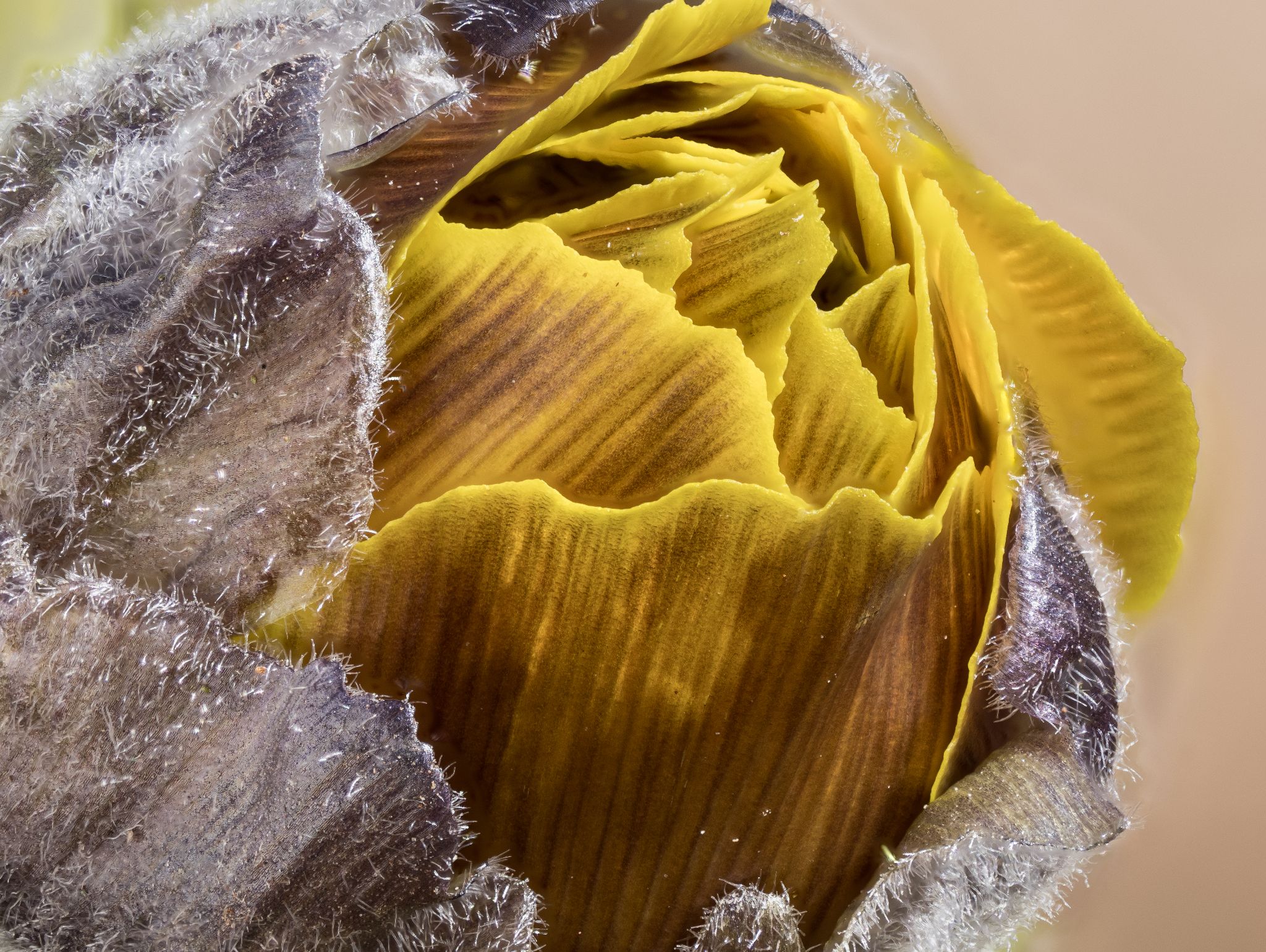 100 260409 1211 J 0002 FS