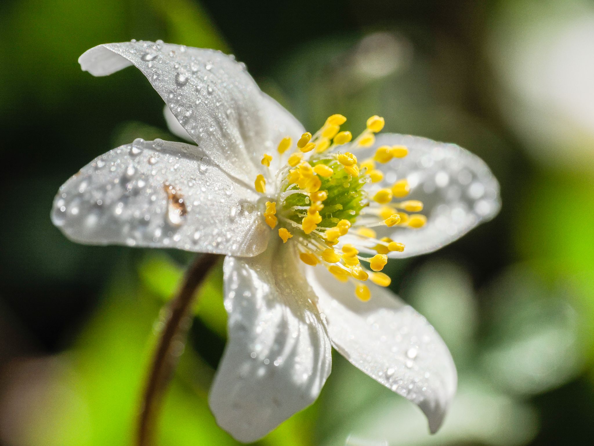 121 260422 1505 H  2HR0968