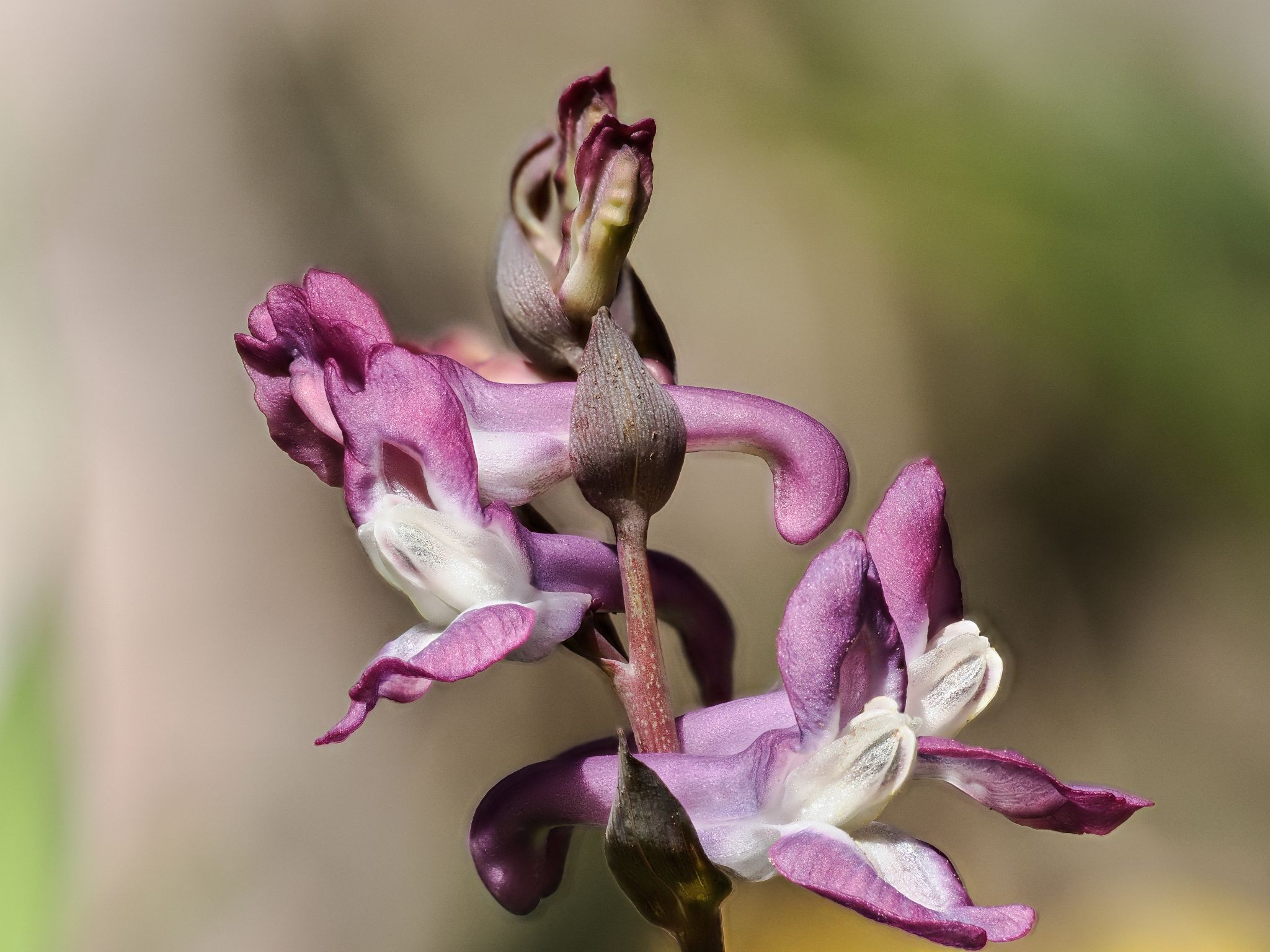 129 260426 1121 J  2JR0198