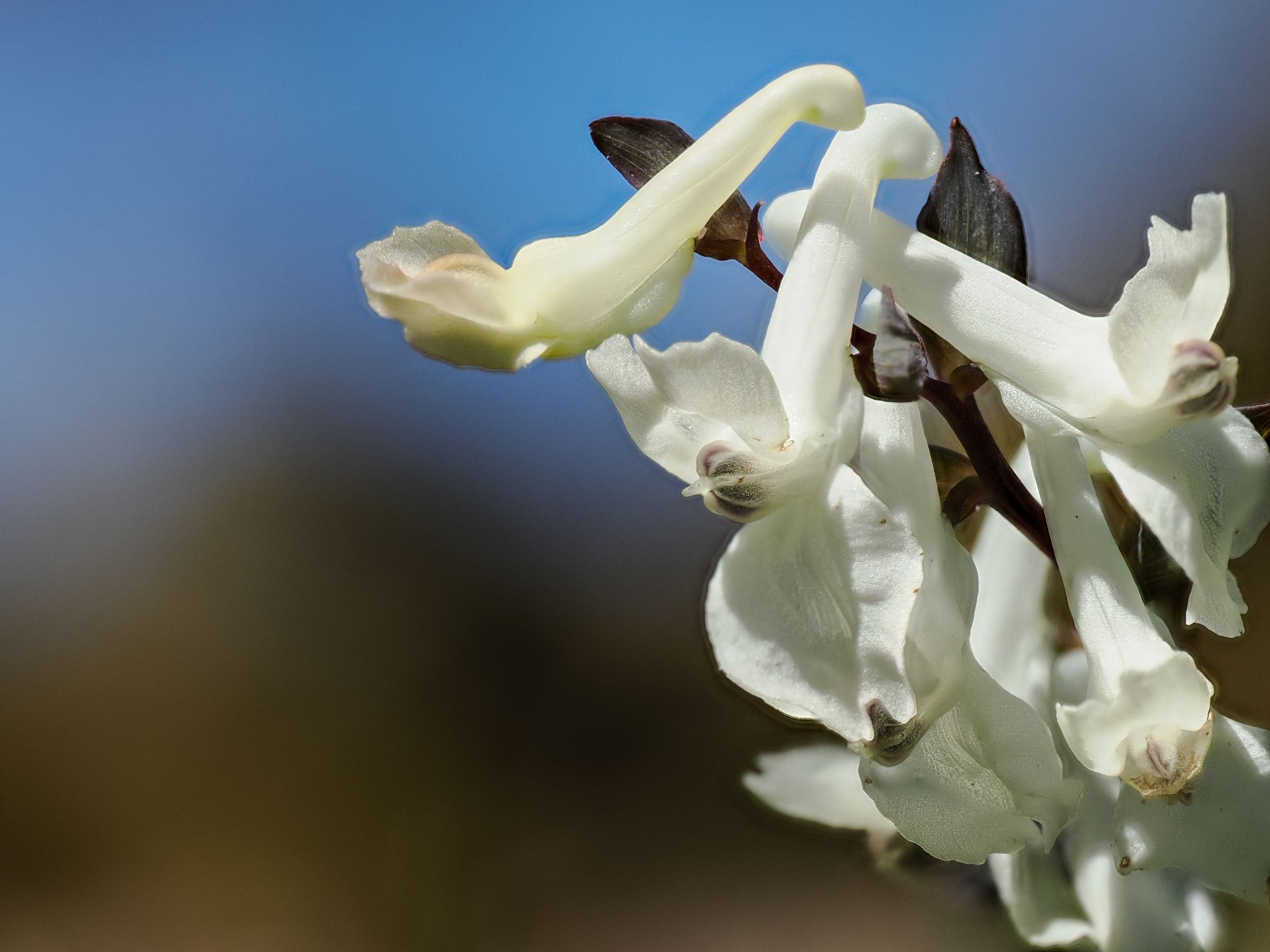 131 260426 1200 J  2JR0910