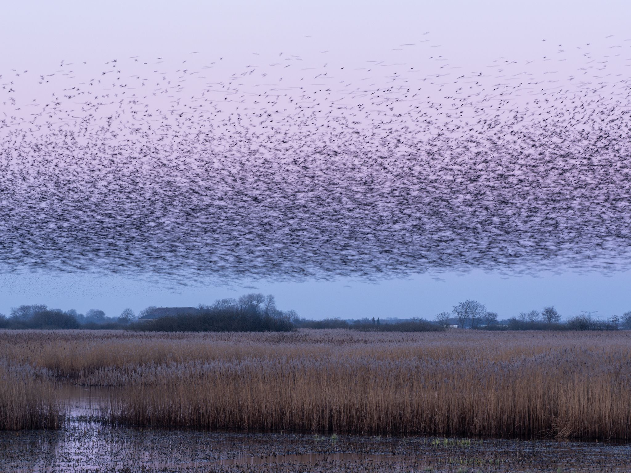 260319 1933 H  2HR0246