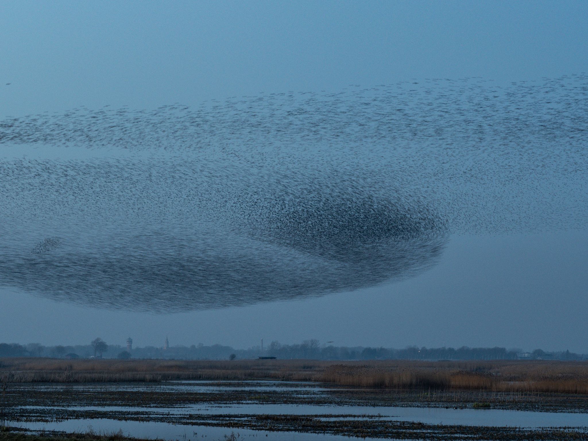 260319 1955 H  2HR0316