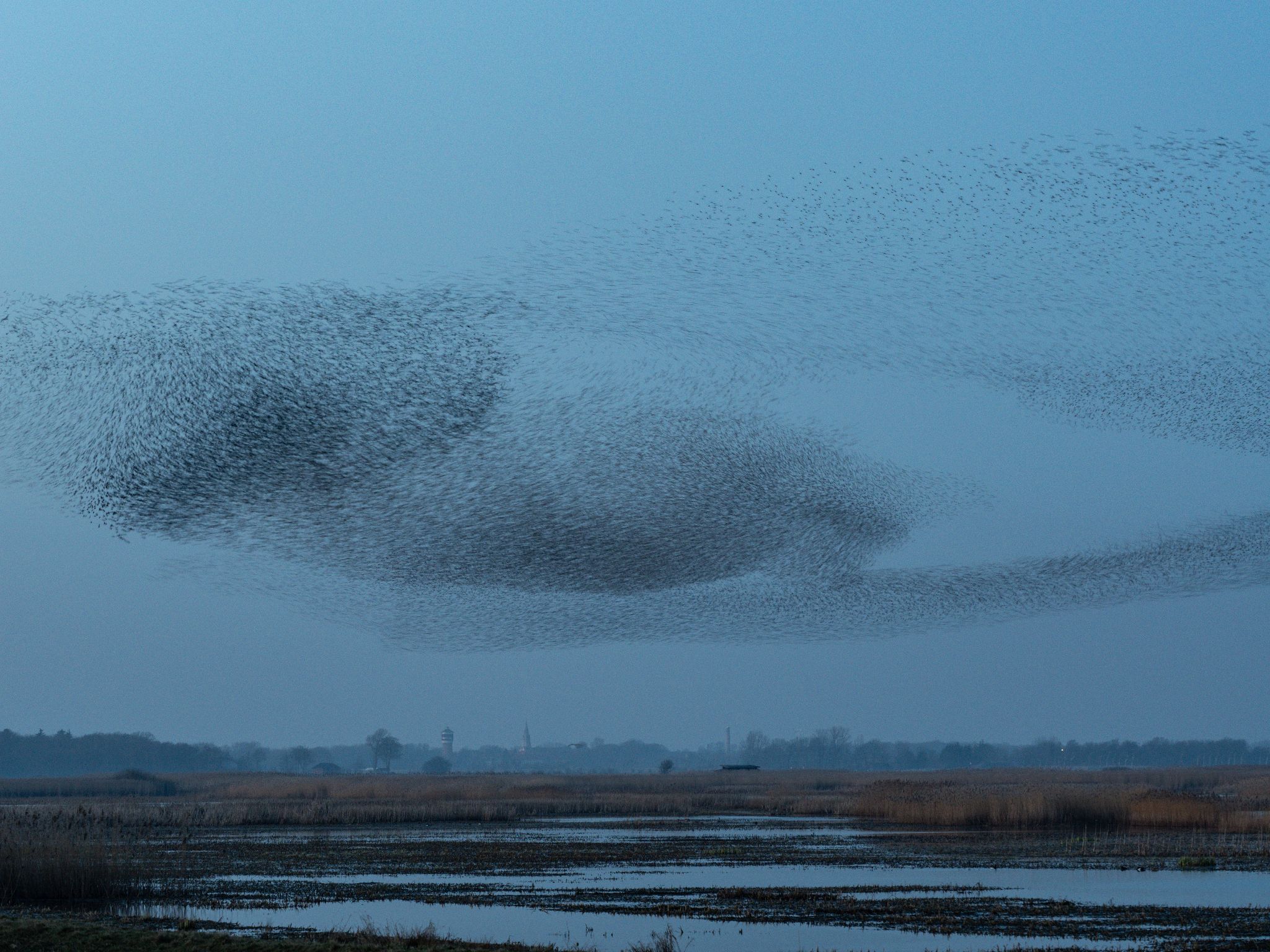 260319 1955 H  2HR0318