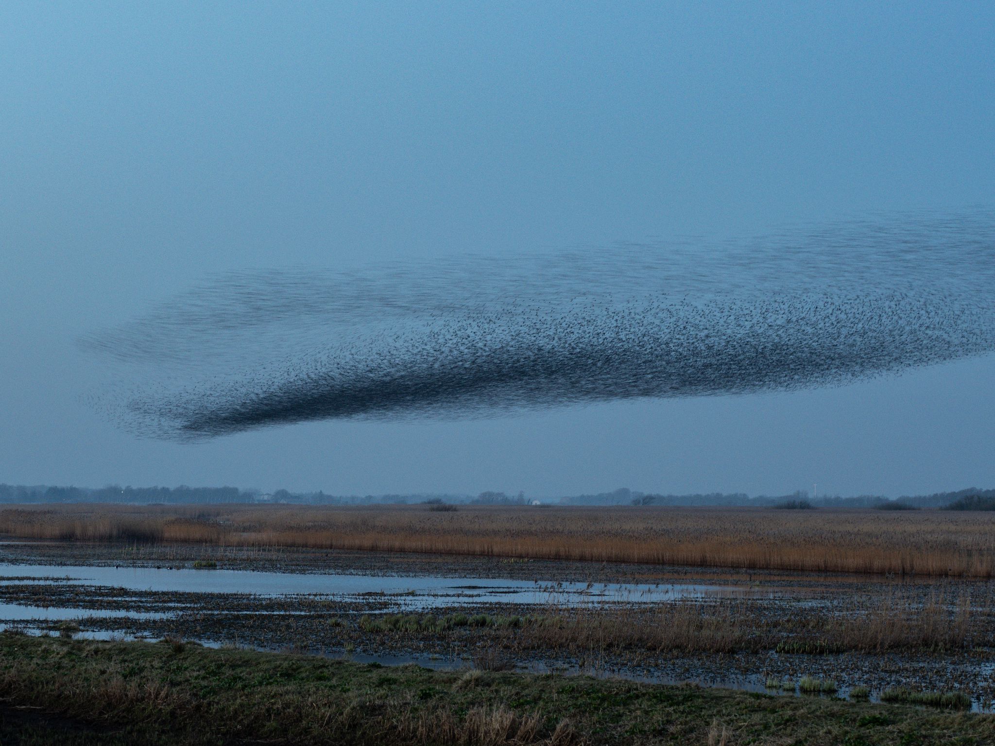 260319 1956 H  2HR0324