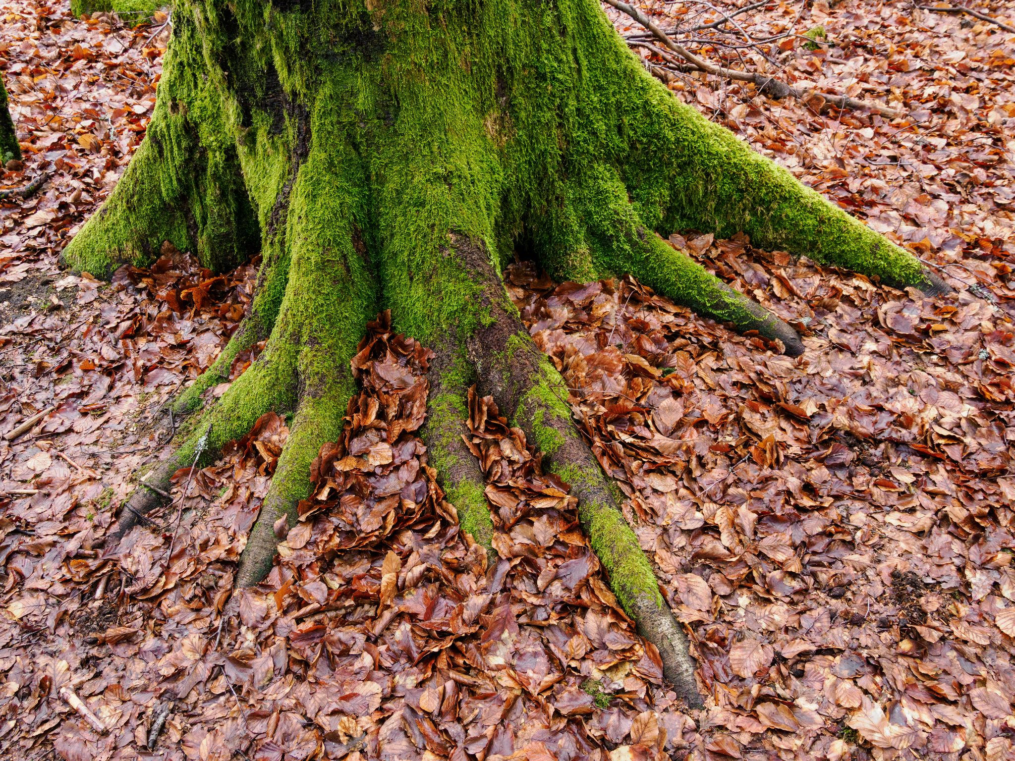 260326 1108 H  2HR0252