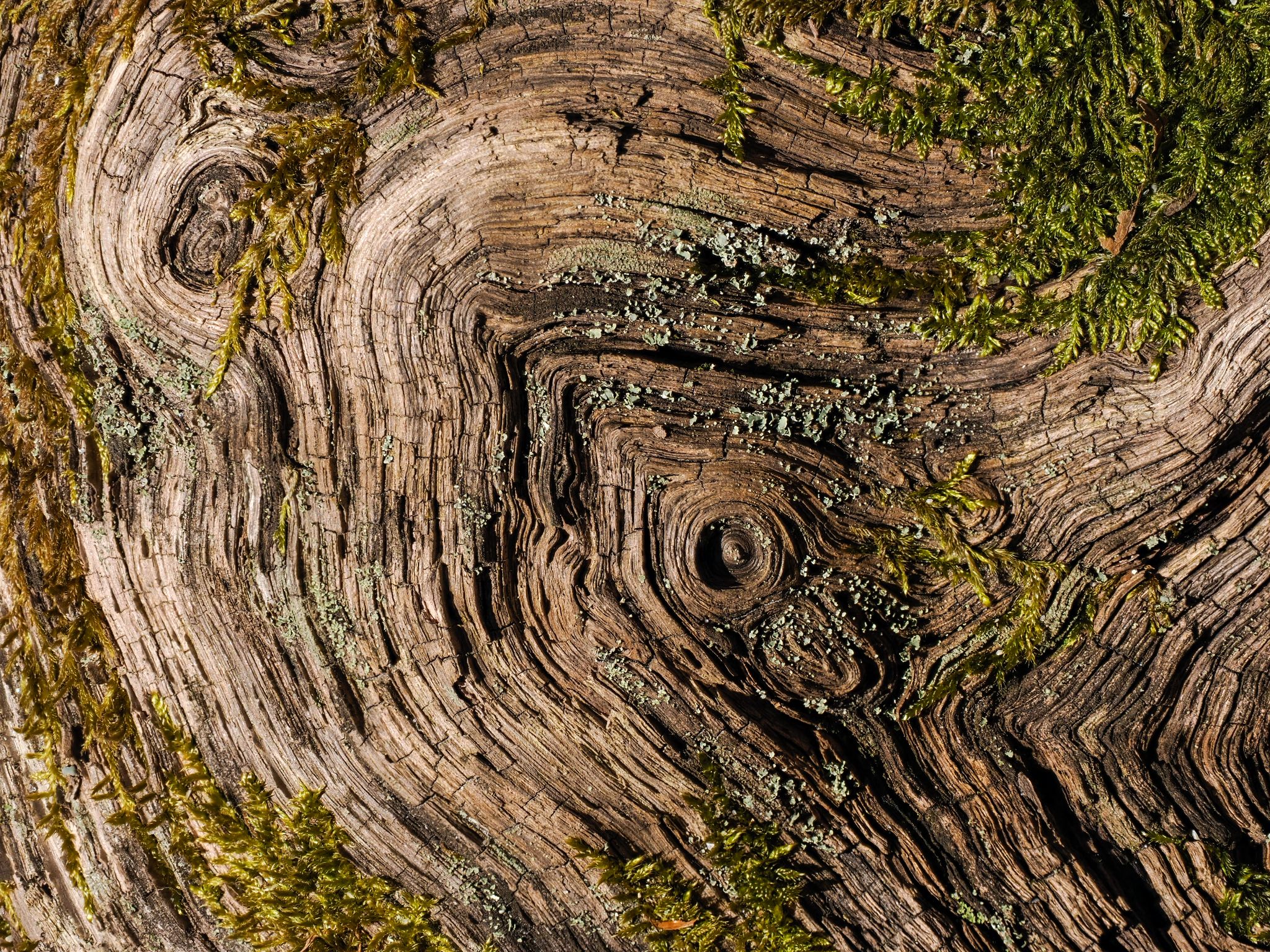 260327 1406 H  2HR0495