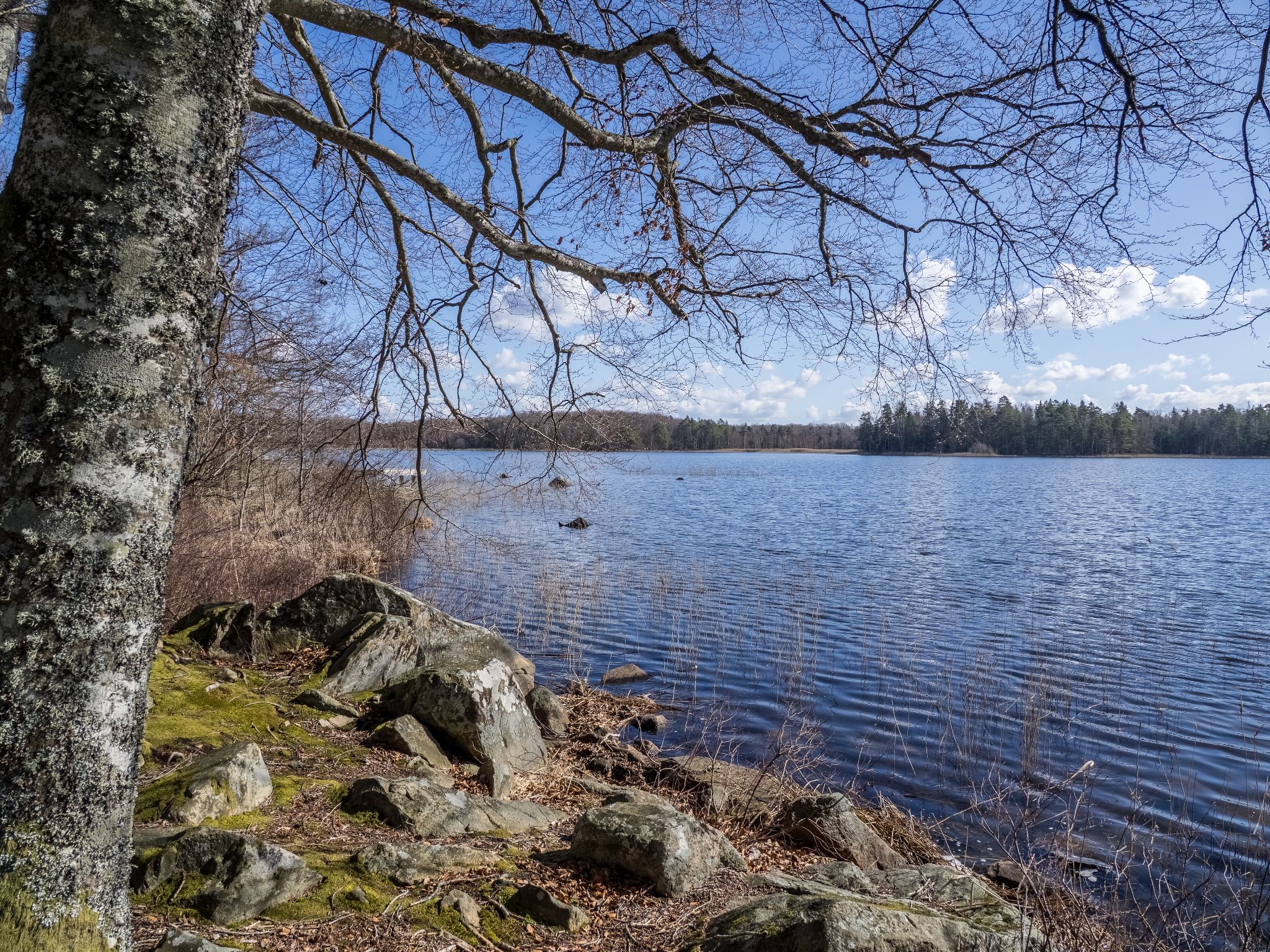 260327 1421 J  2JR1164 HDR