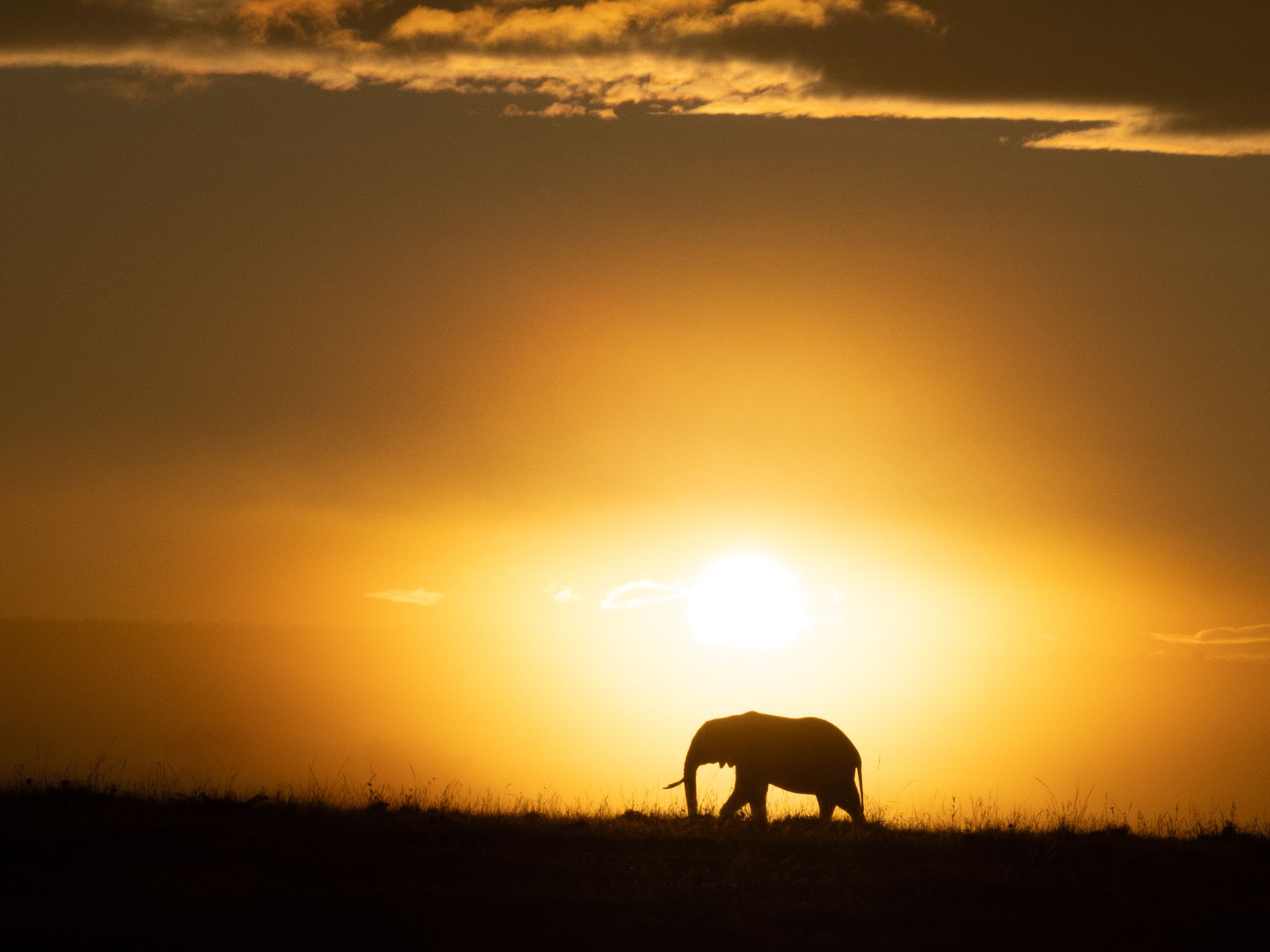 Sonnenaufgang in Kenya